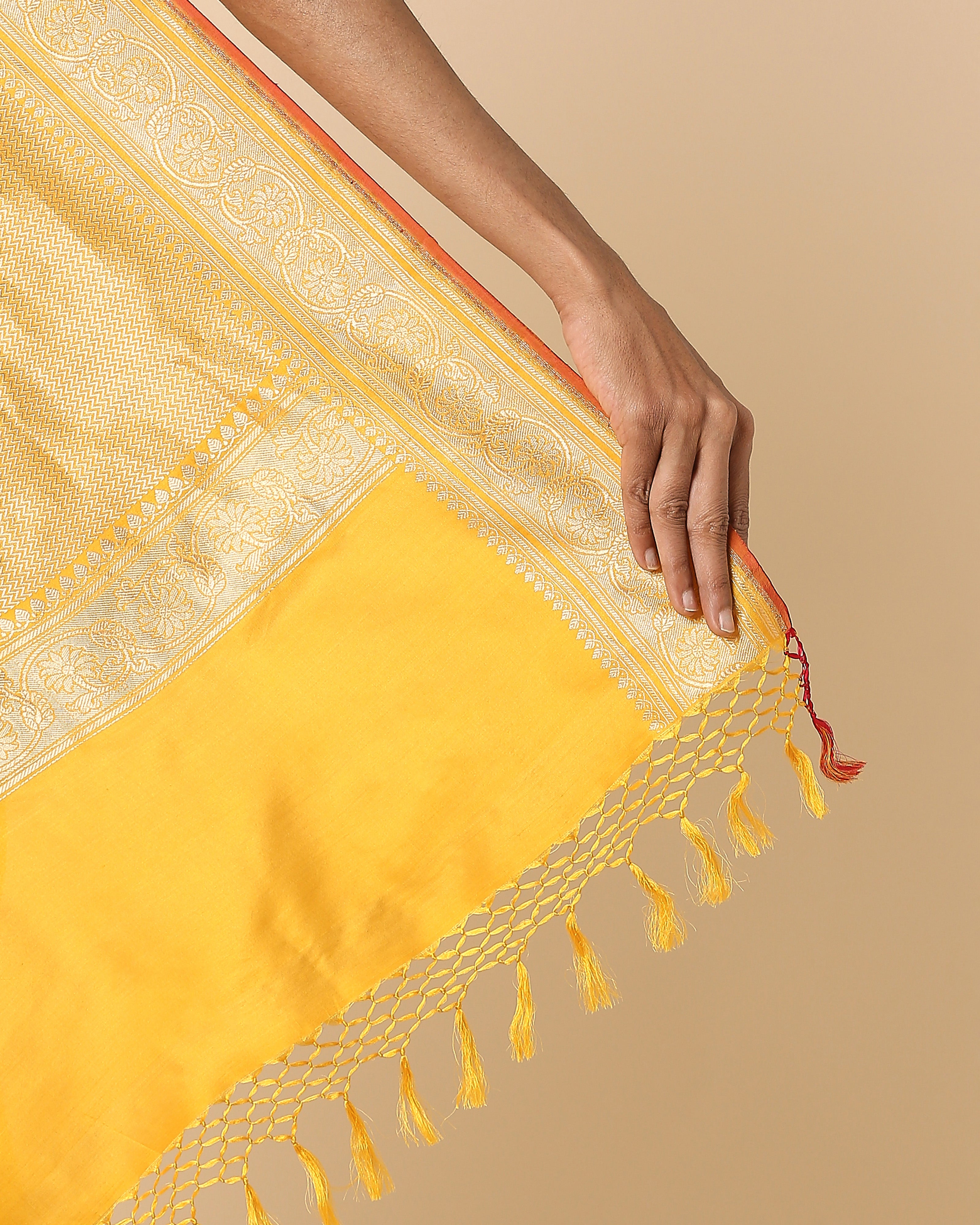 Aniti Banarasi Kadwa Silk Saree