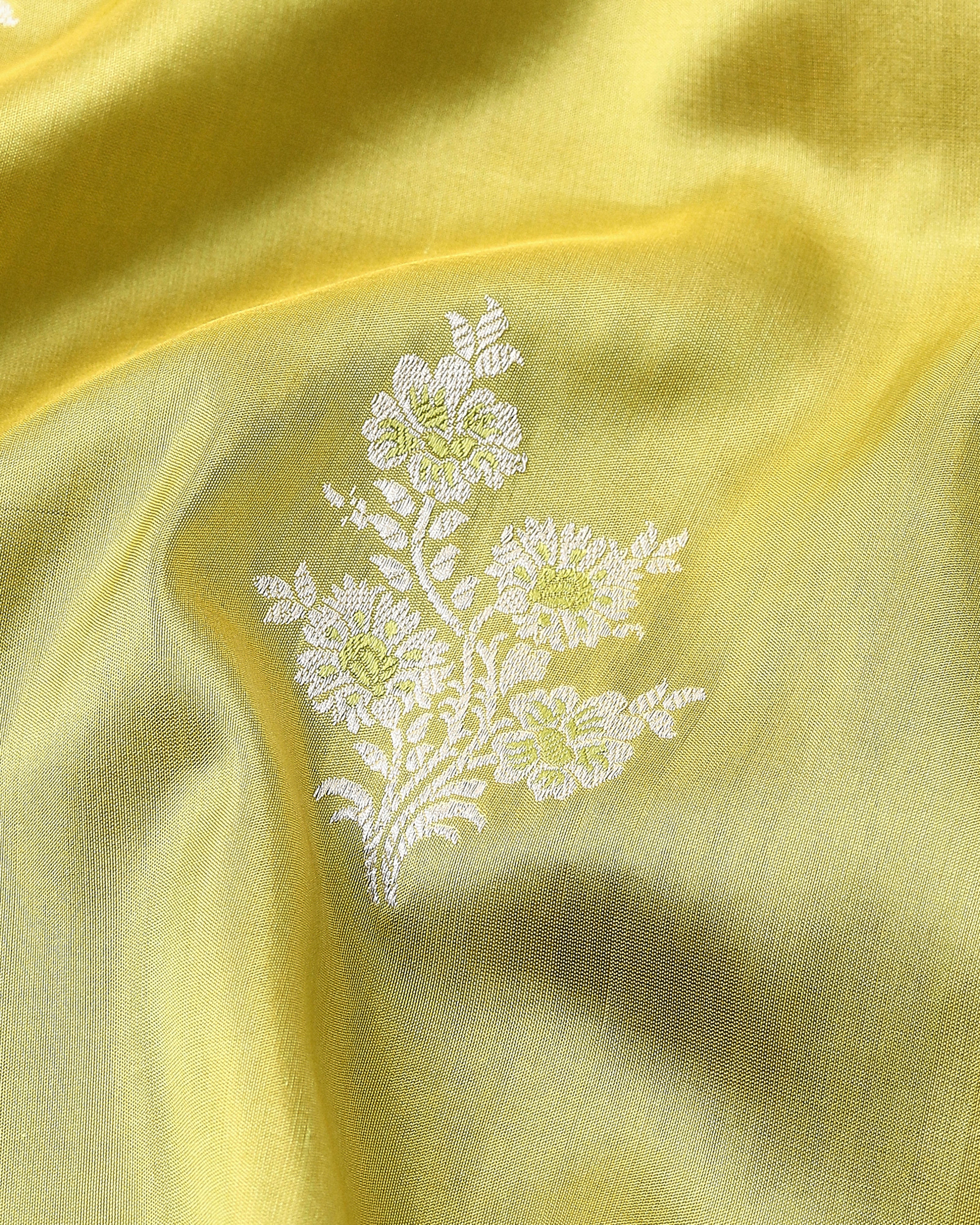 Aniti Banarasi Kadwa Silk Saree