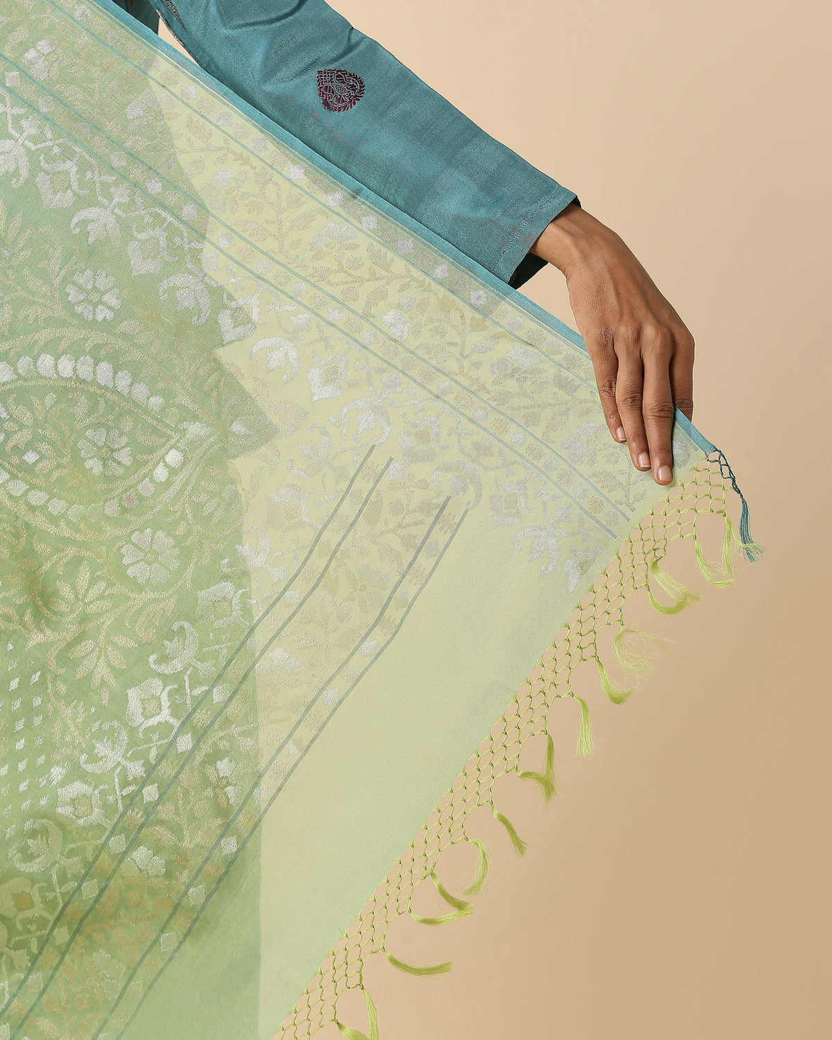 Amiili Banarasi Jamdani Silk Cotton Saree