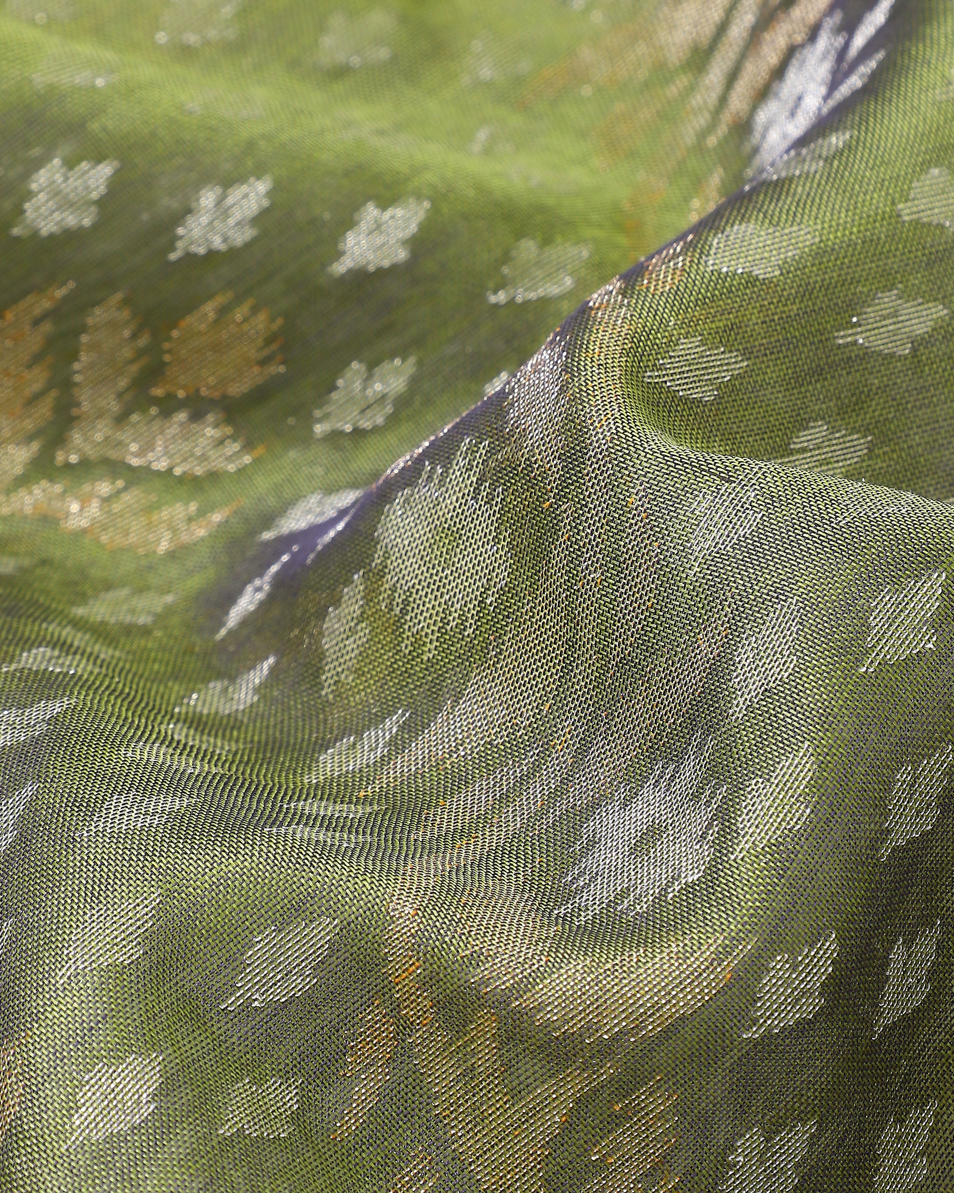 Amiili Banarasi Jamdani Silk Cotton Saree