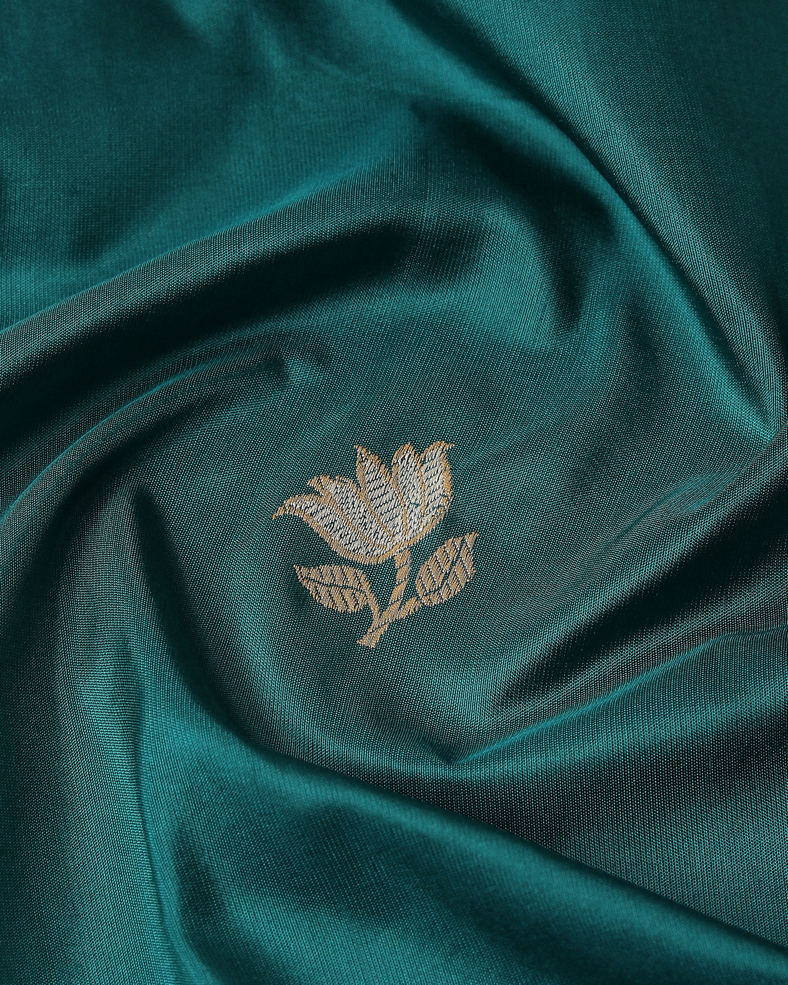 Aayla Banarasi Kadwa Silk Saree