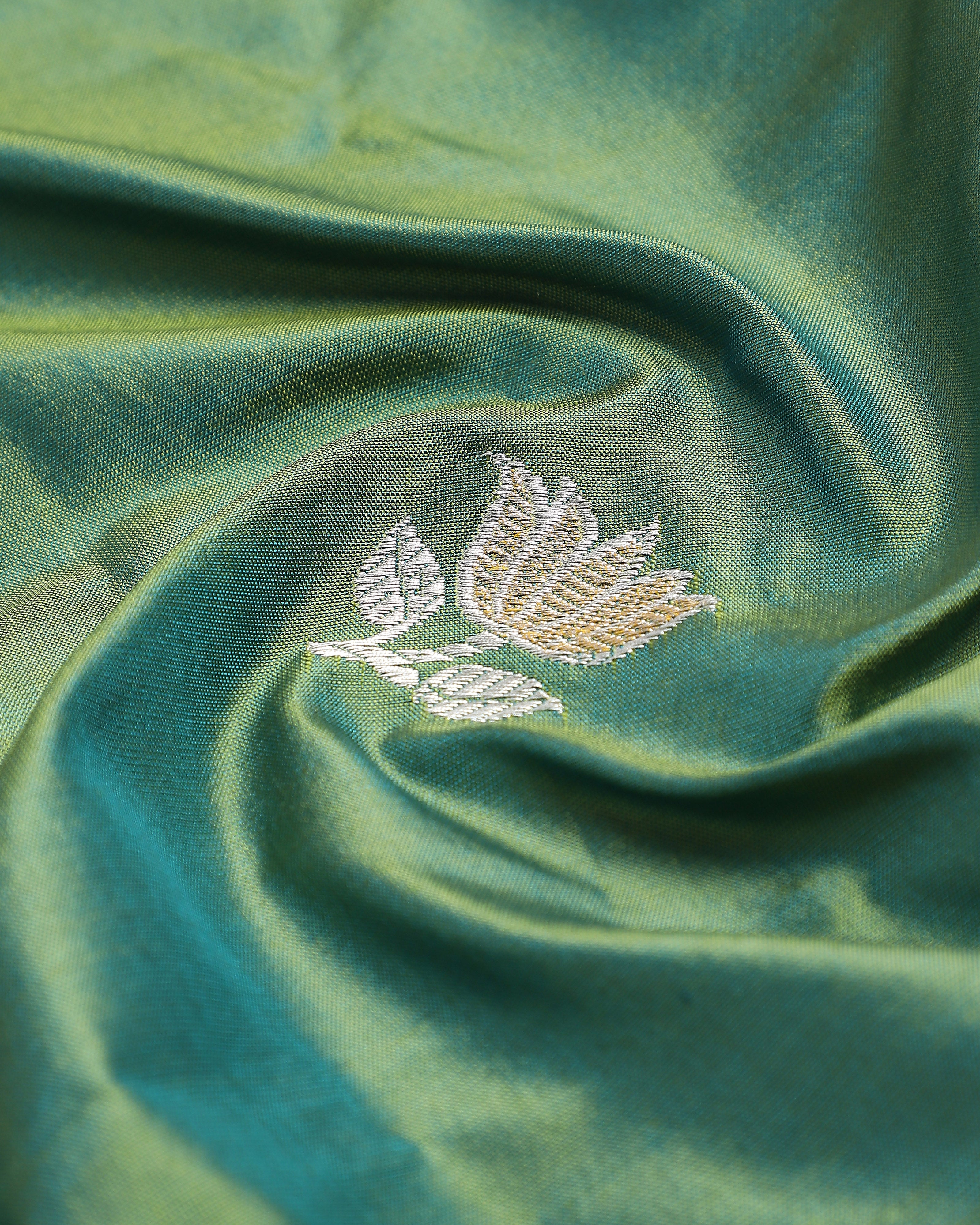 Aayla Banarasi Kadwa Silk Saree