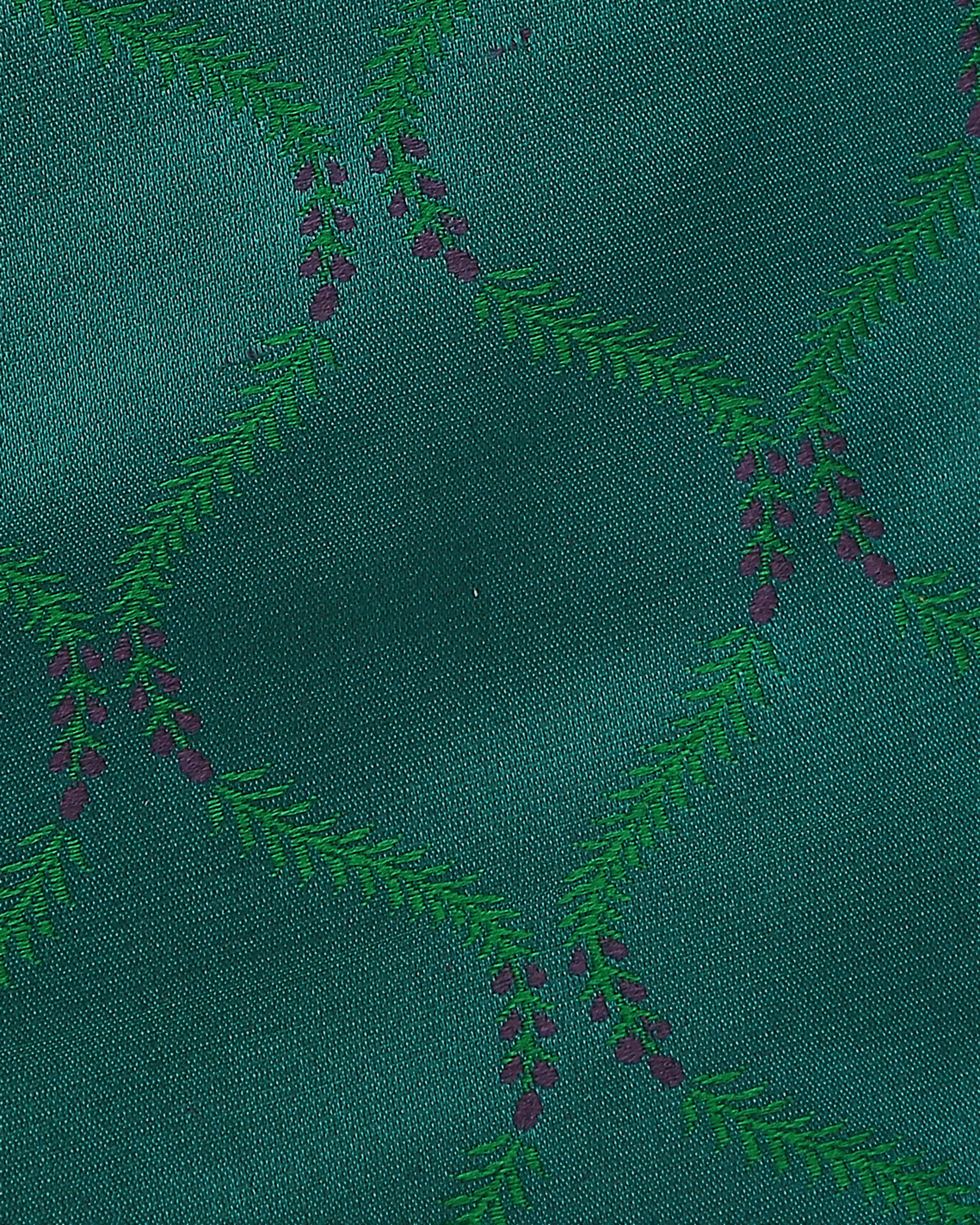 Aida Banarasi Tanchoi Silk Suit Fabric