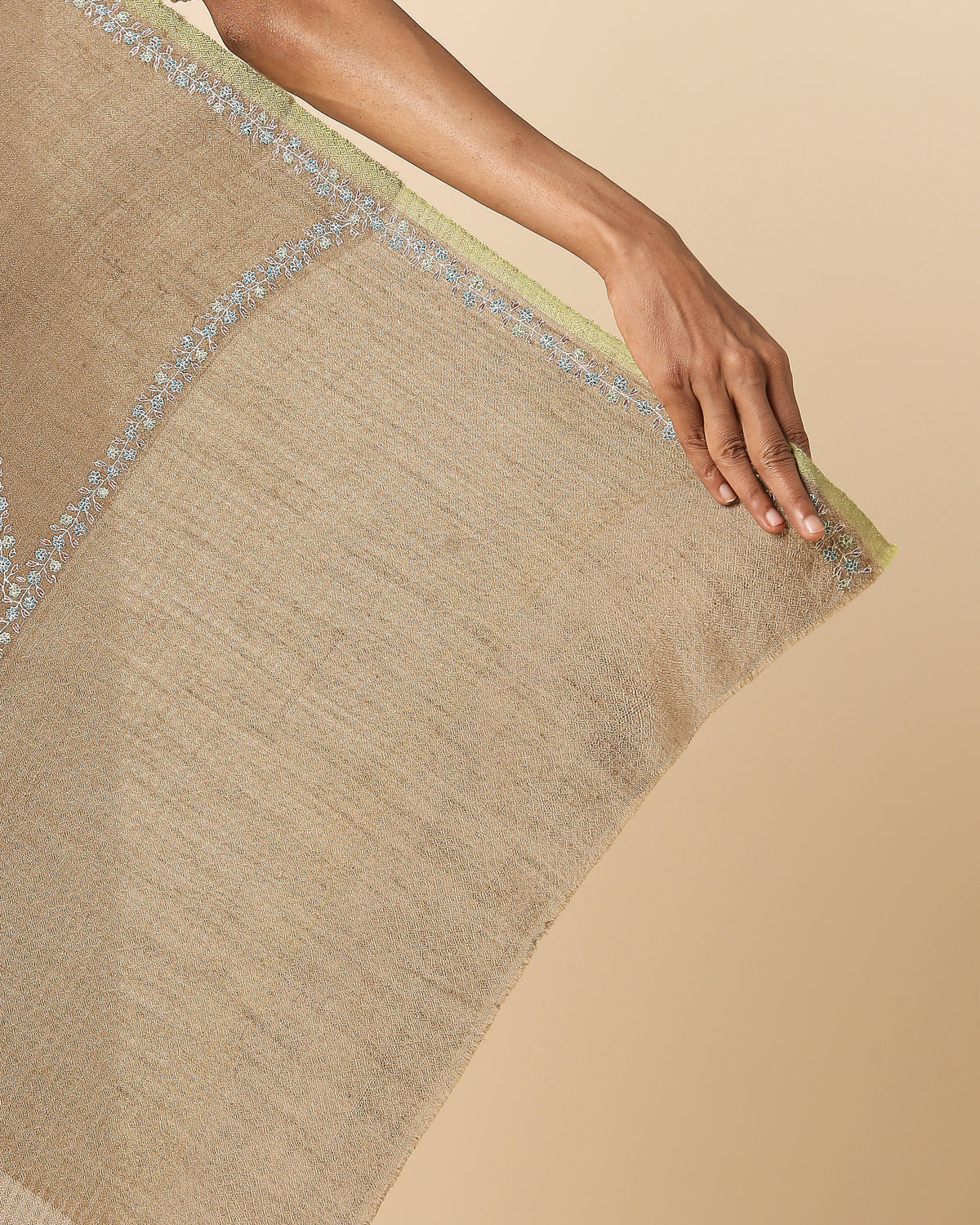 Eshail Kashmir Sozni Embroidery Pashmina Saree