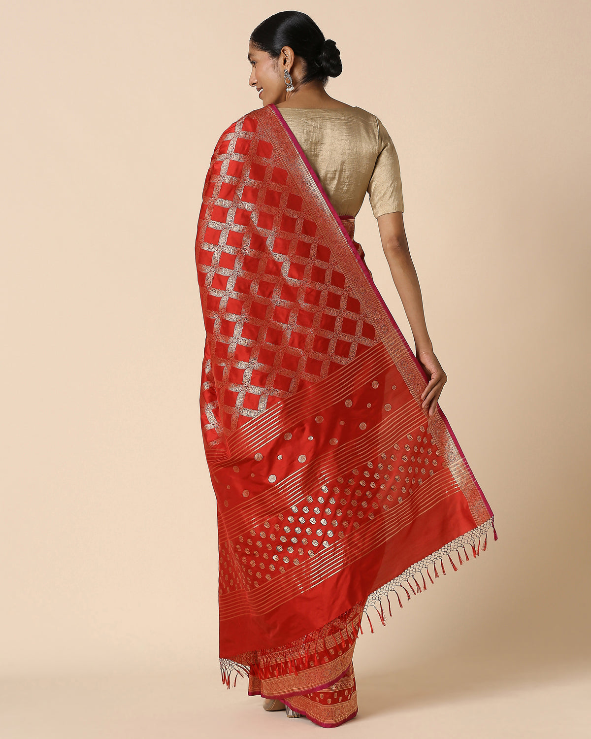 Hilda Banarasi Cutwork Silk Saree