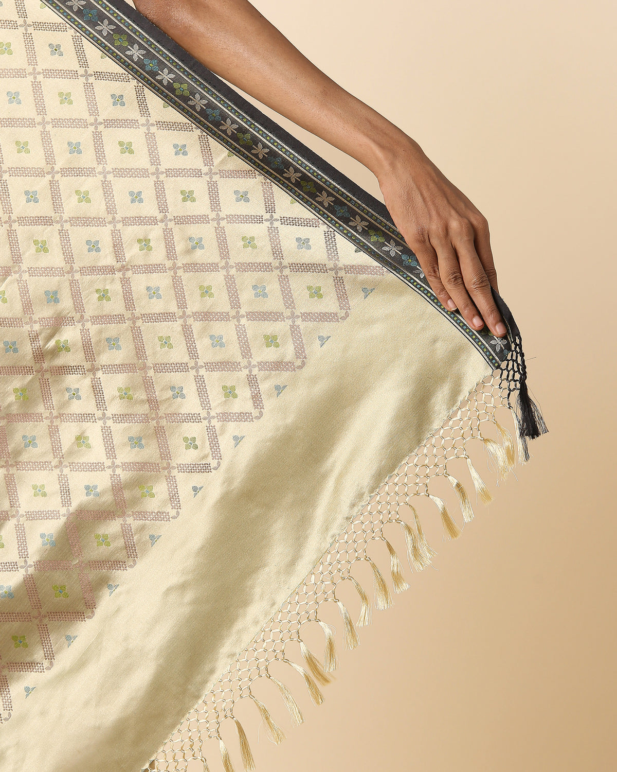 Ambuja Banarasi Tanchoi Silk Saree