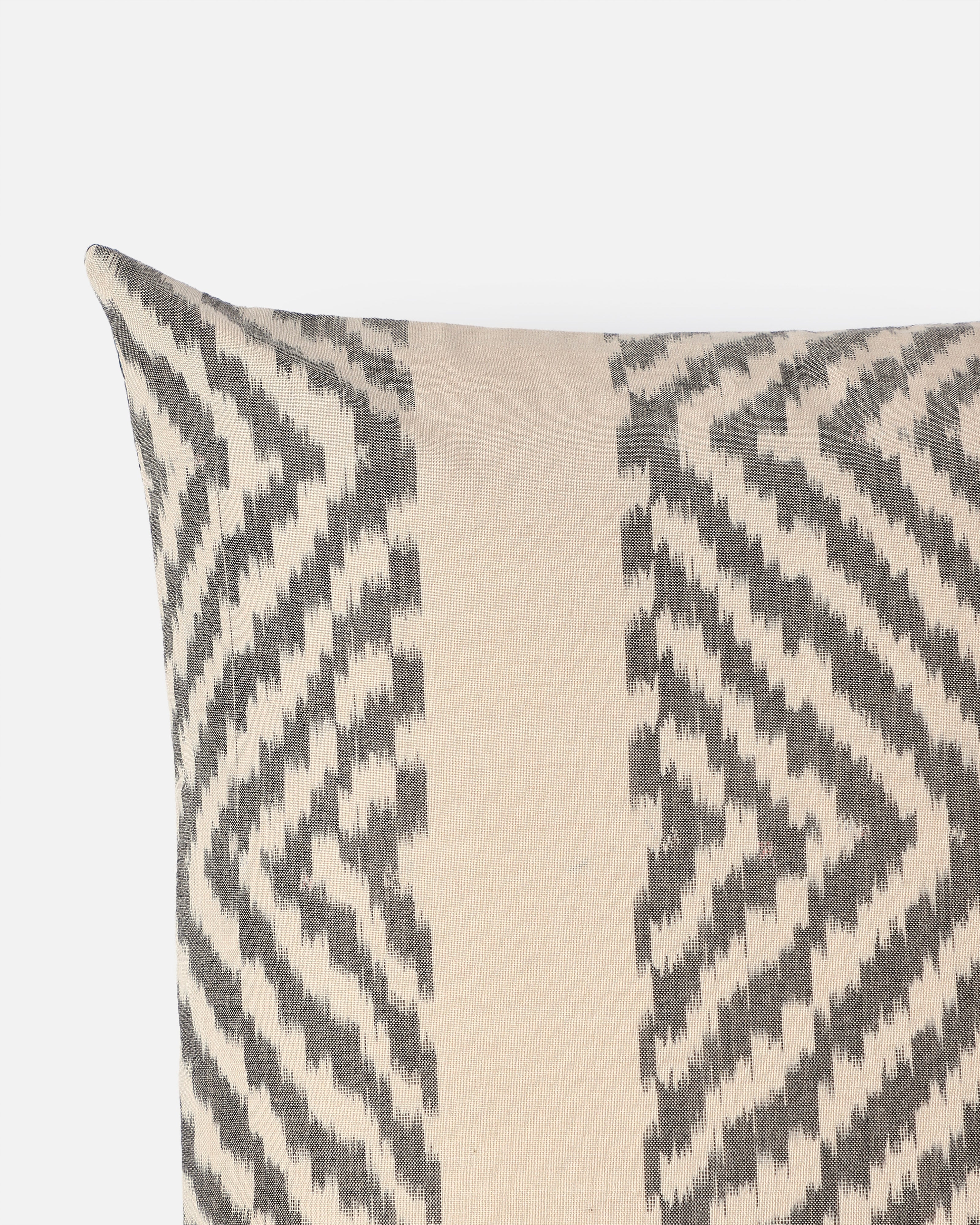 Srejal Pochampally Warp Ikat Cotton Cushion Cover