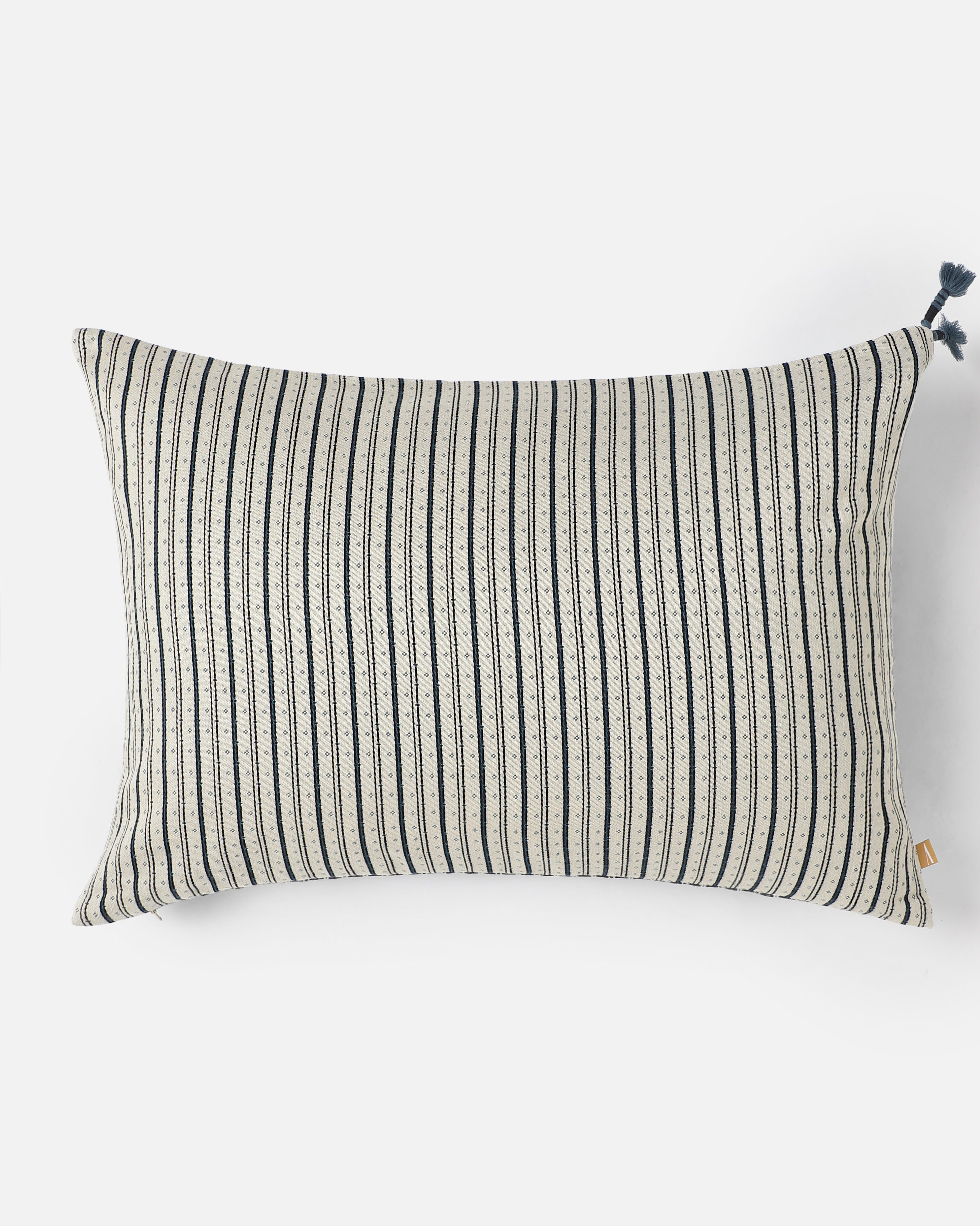 Zenya Bhuj Mashru Viscose Cotton Cushion Cover