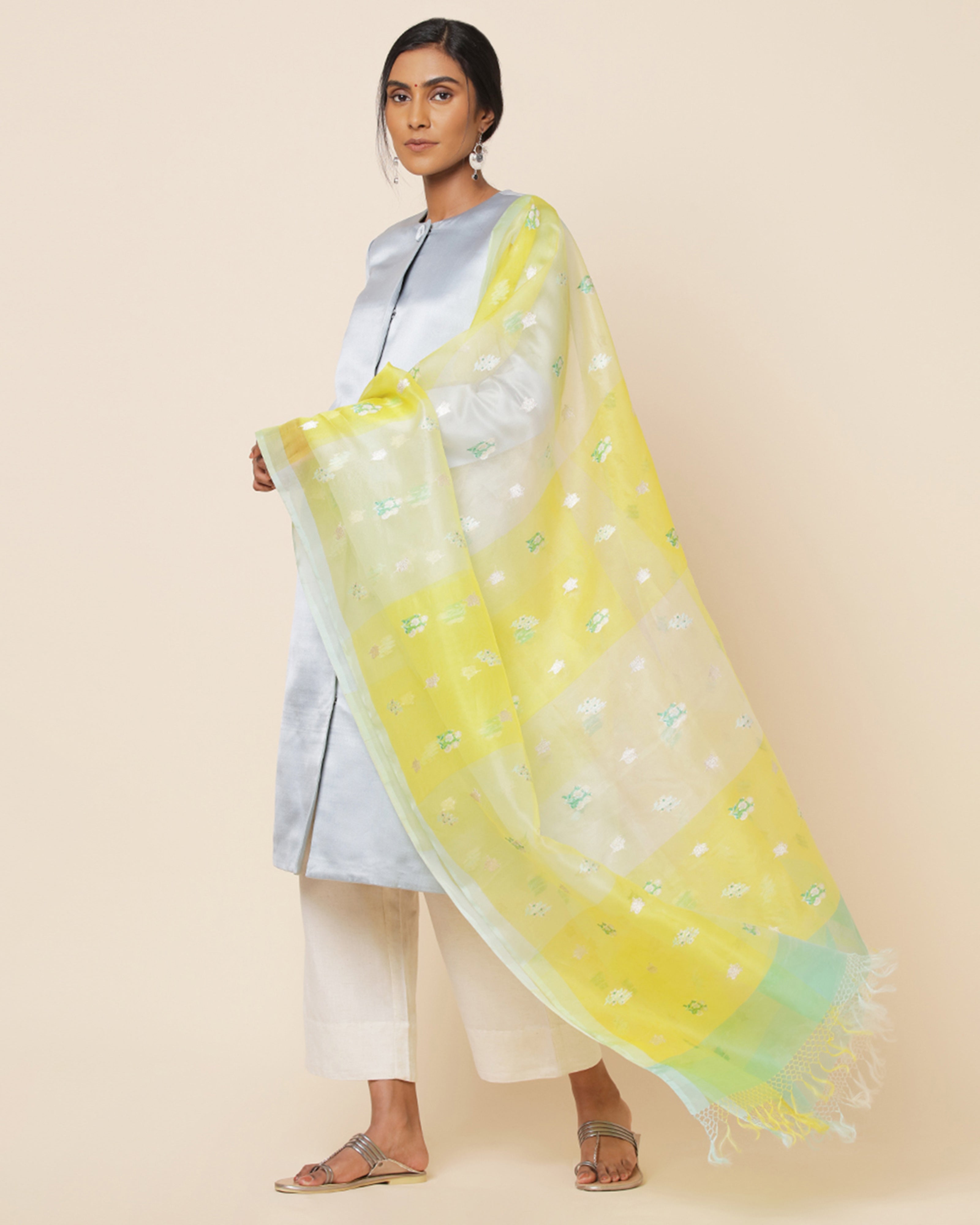 Sagarika Banarasi Kadwa Silk Dupatta