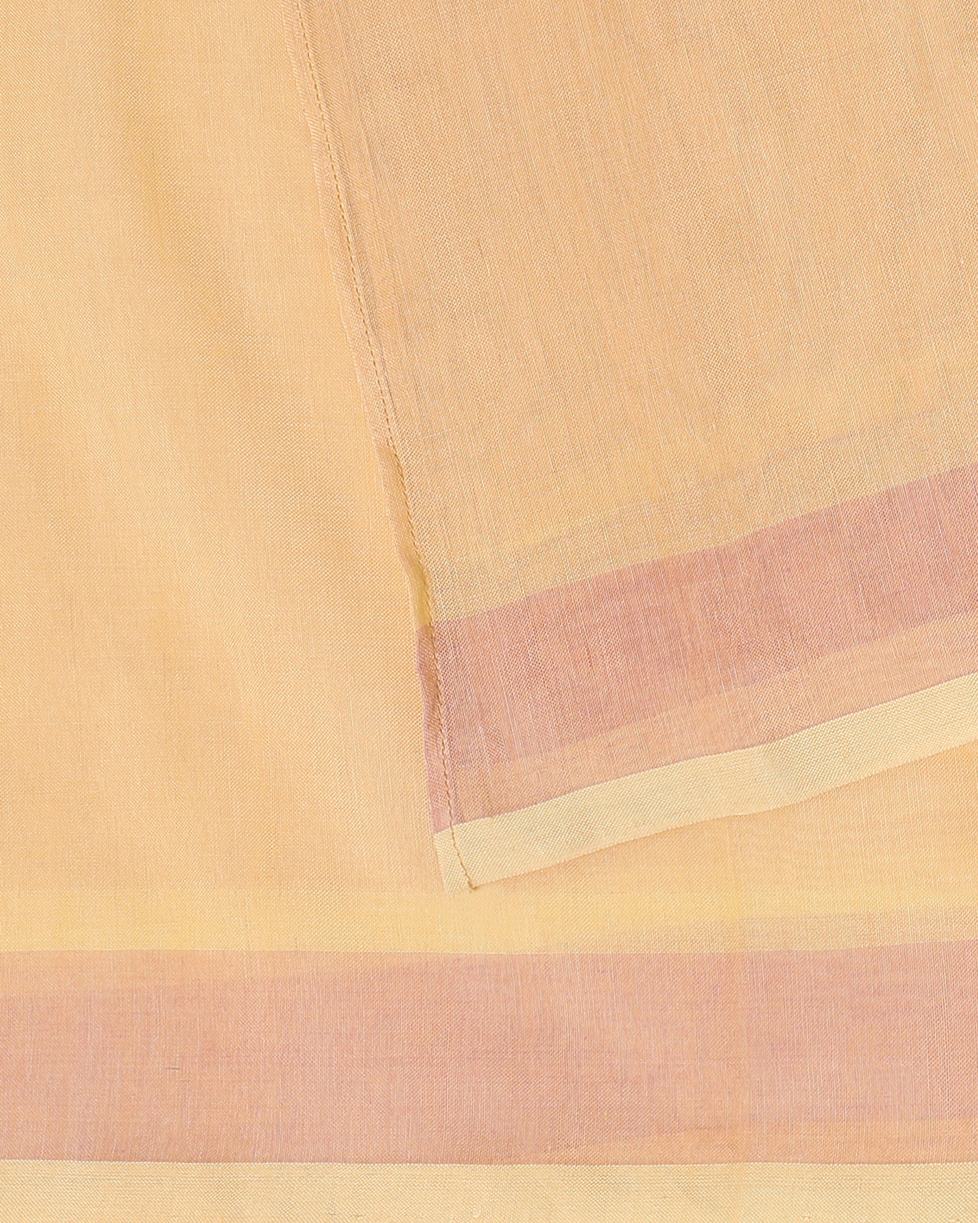 Ekaja Banarasi Jamdani Cotton Saree