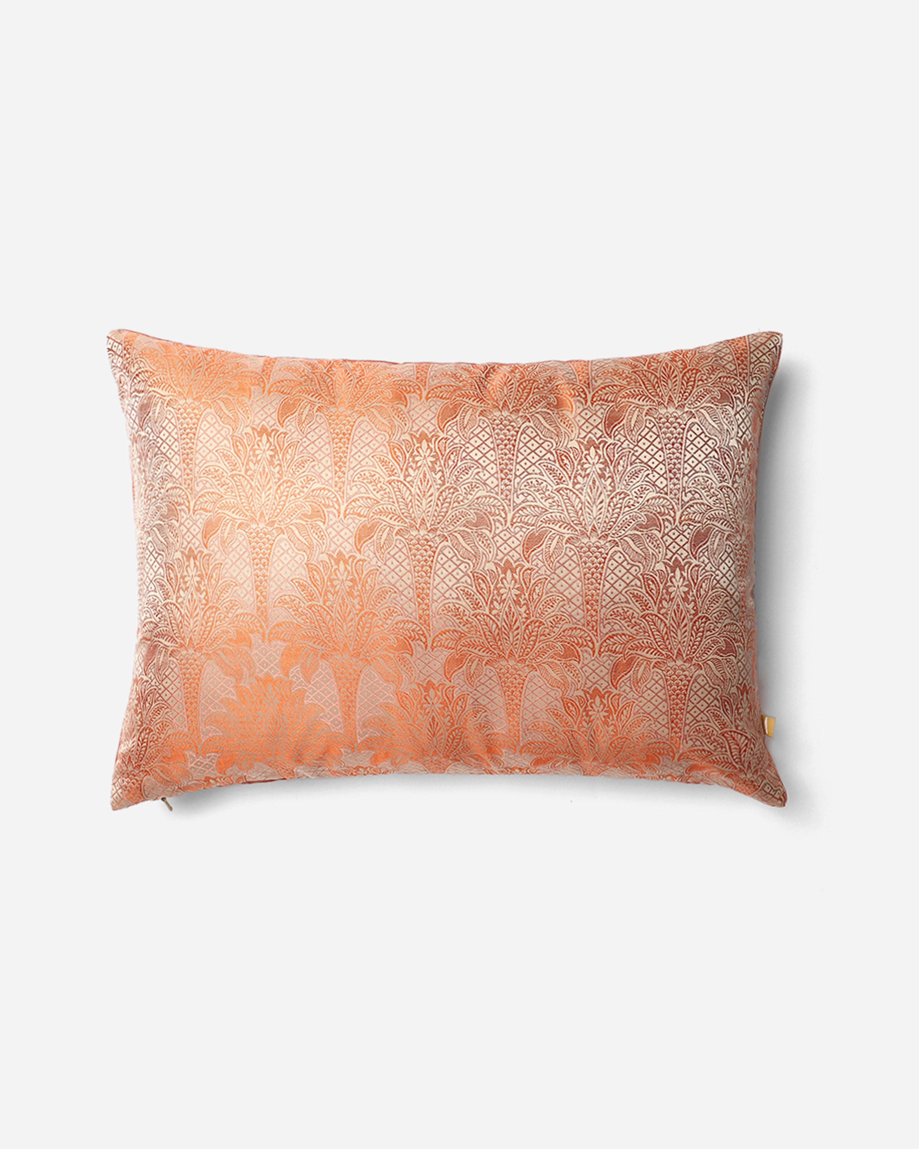 Deccan Banarasi Tanchoi Silk Cushion Cover