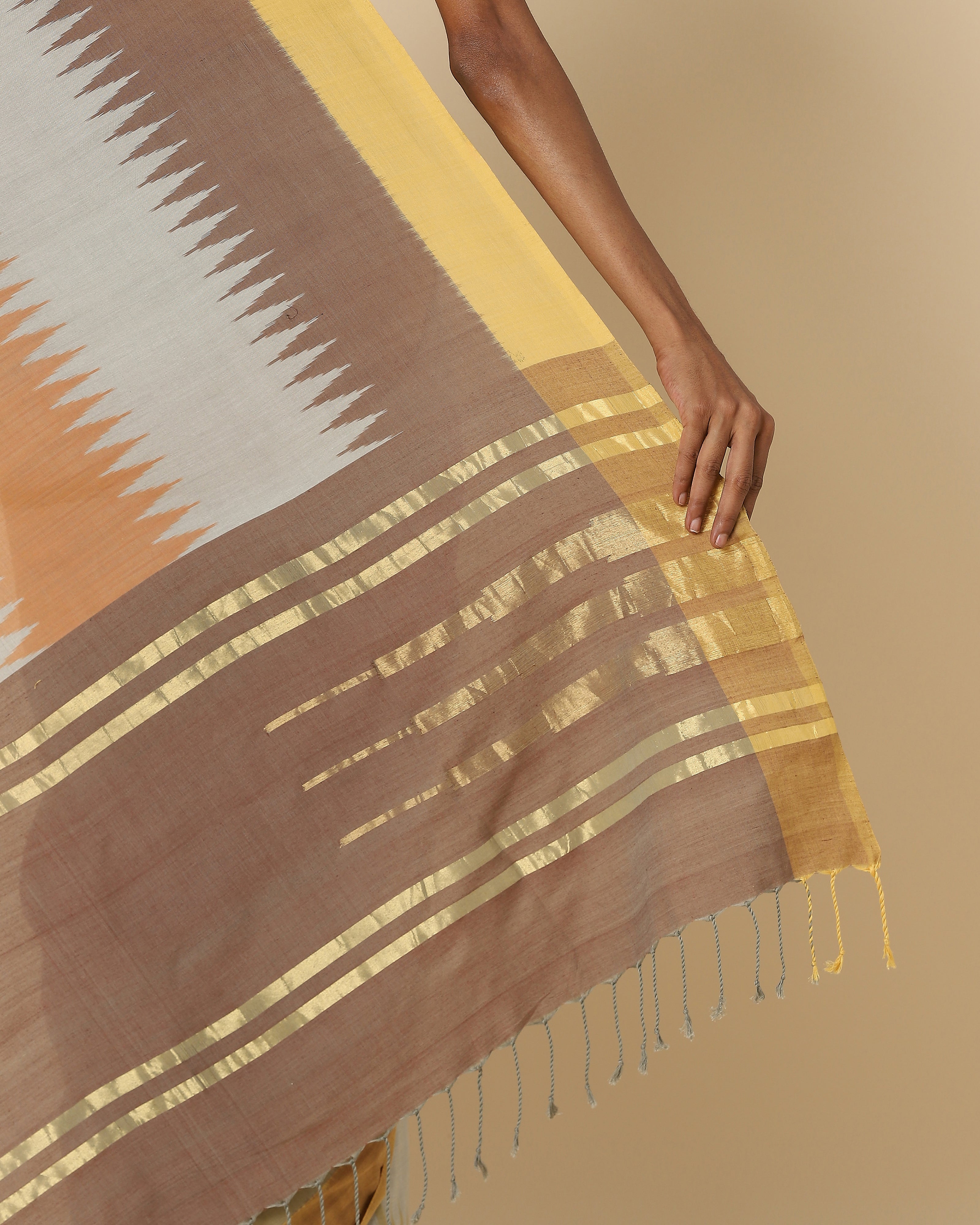 Aadhavi Pochampally Weft Ikat Cotton Saree