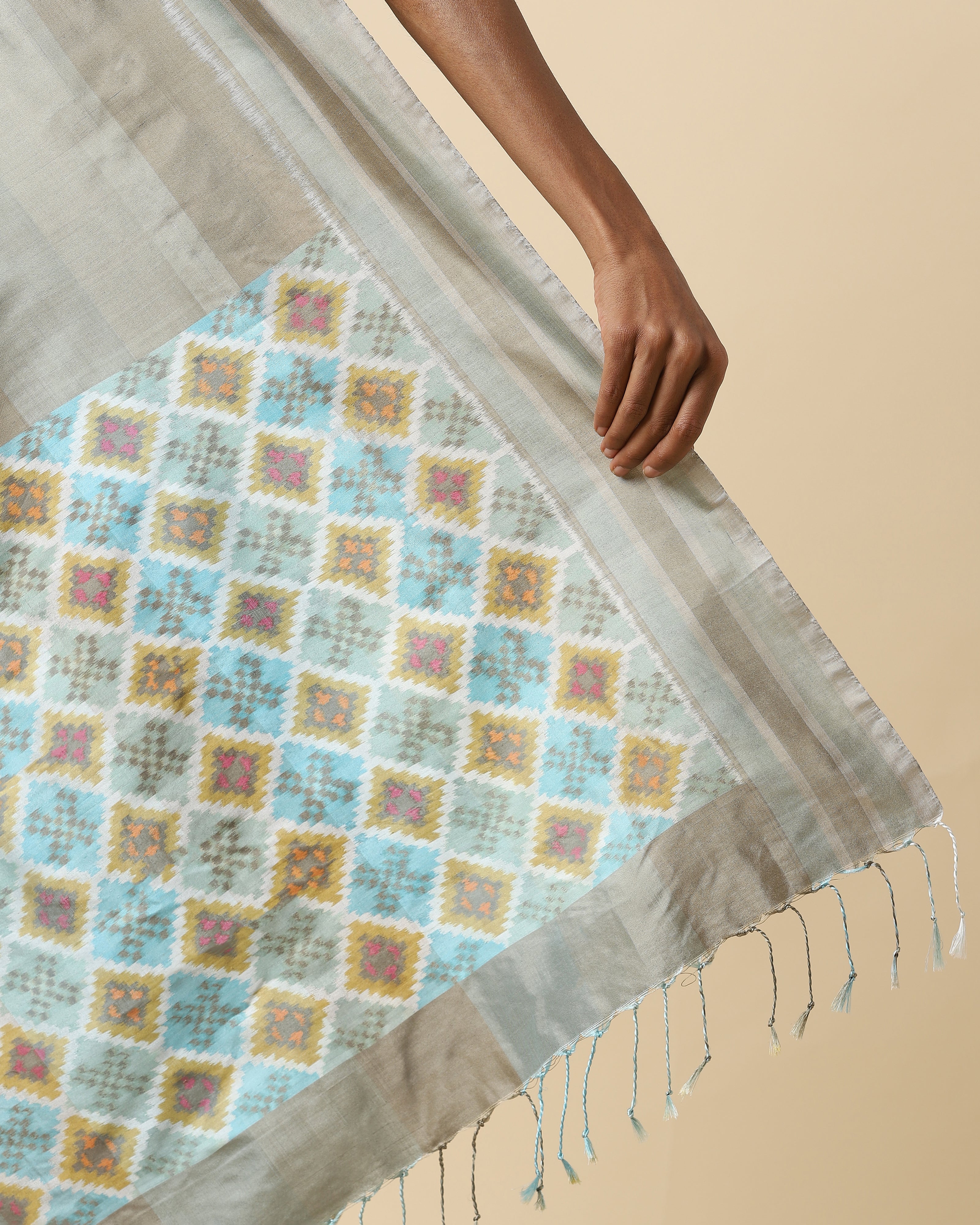 Shriwa Pochampally Warp Ikat Silk Saree