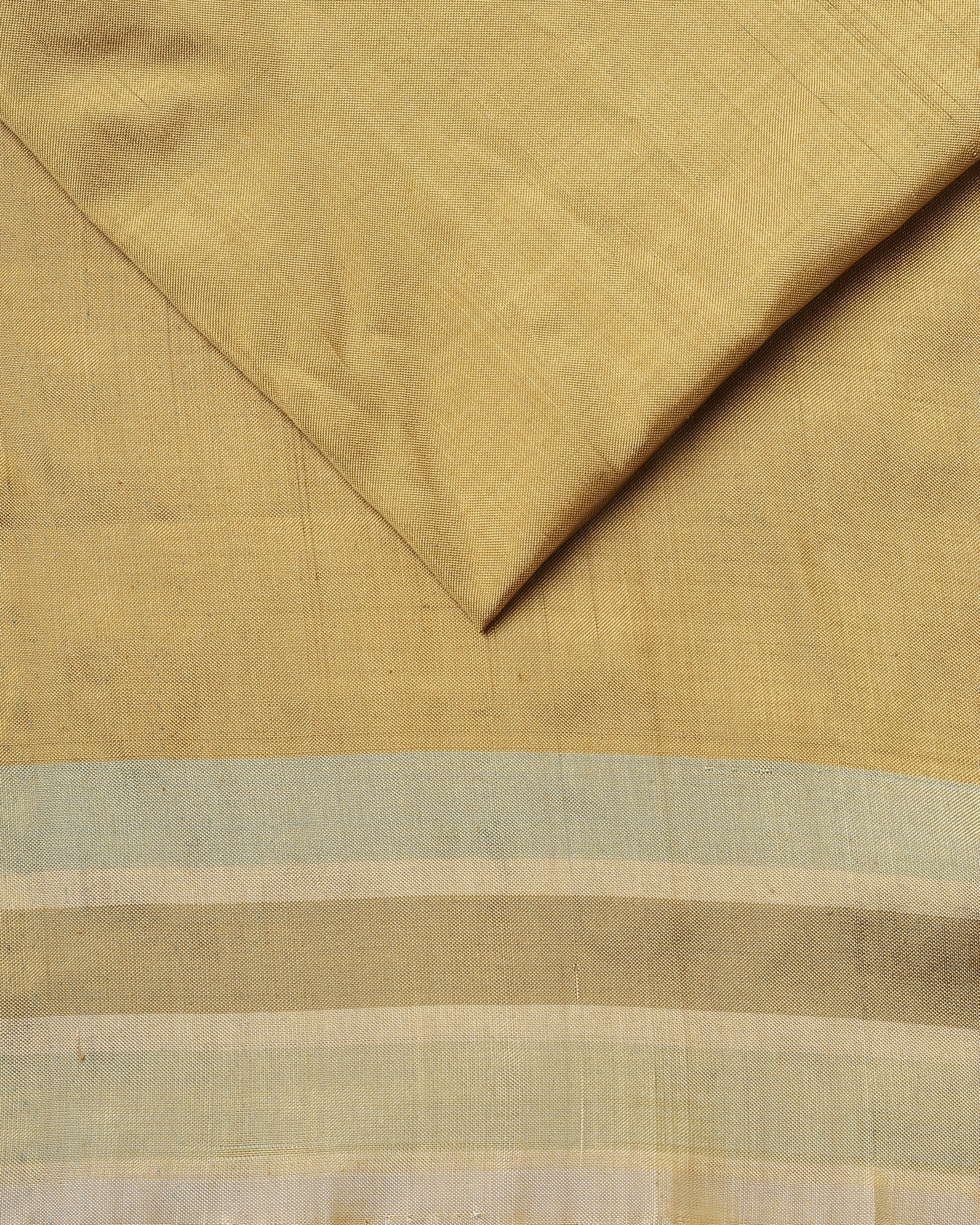 Shriwa Pochampally Warp Ikat Silk Saree