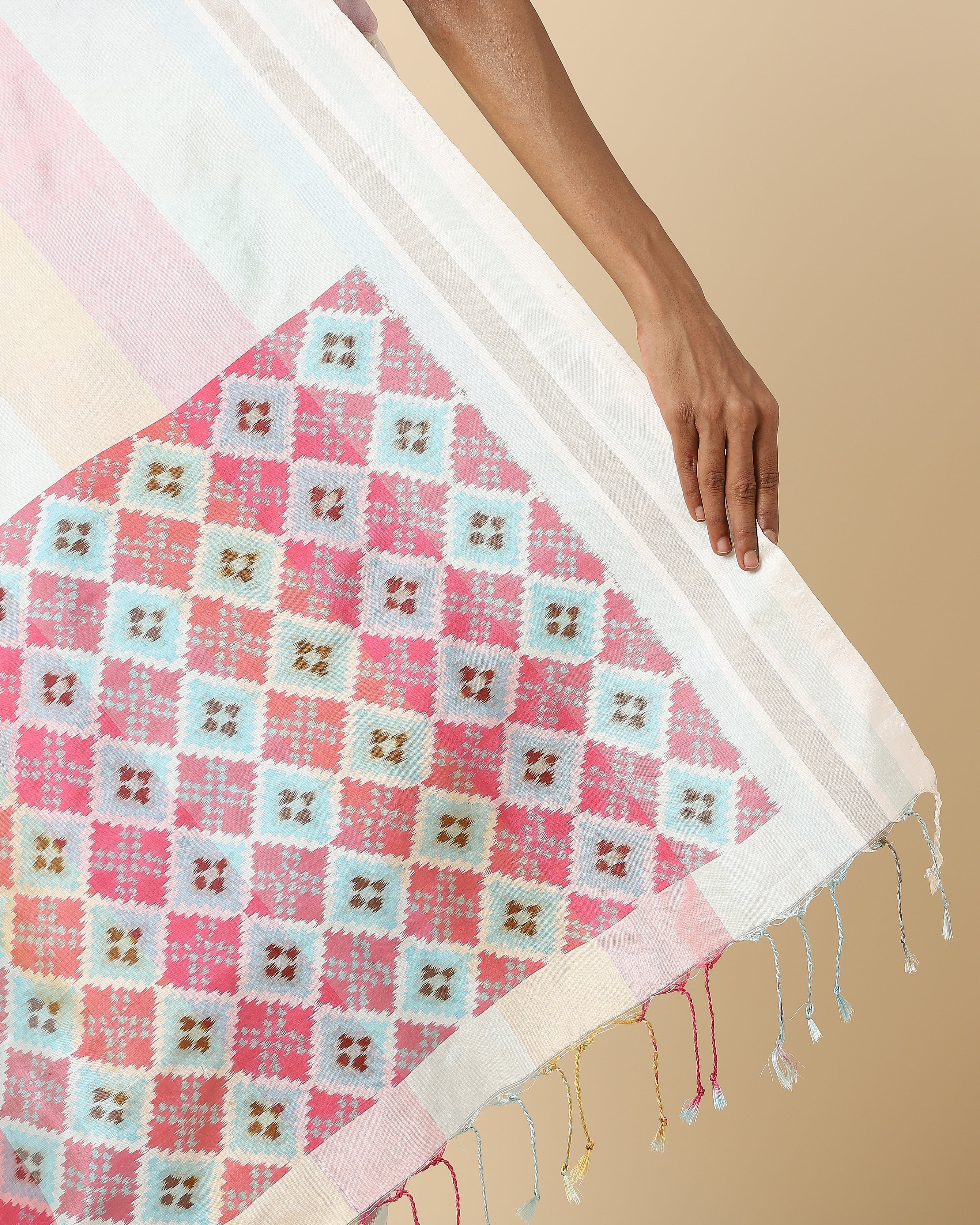 Shriwa Pochampally Warp Ikat Silk Saree