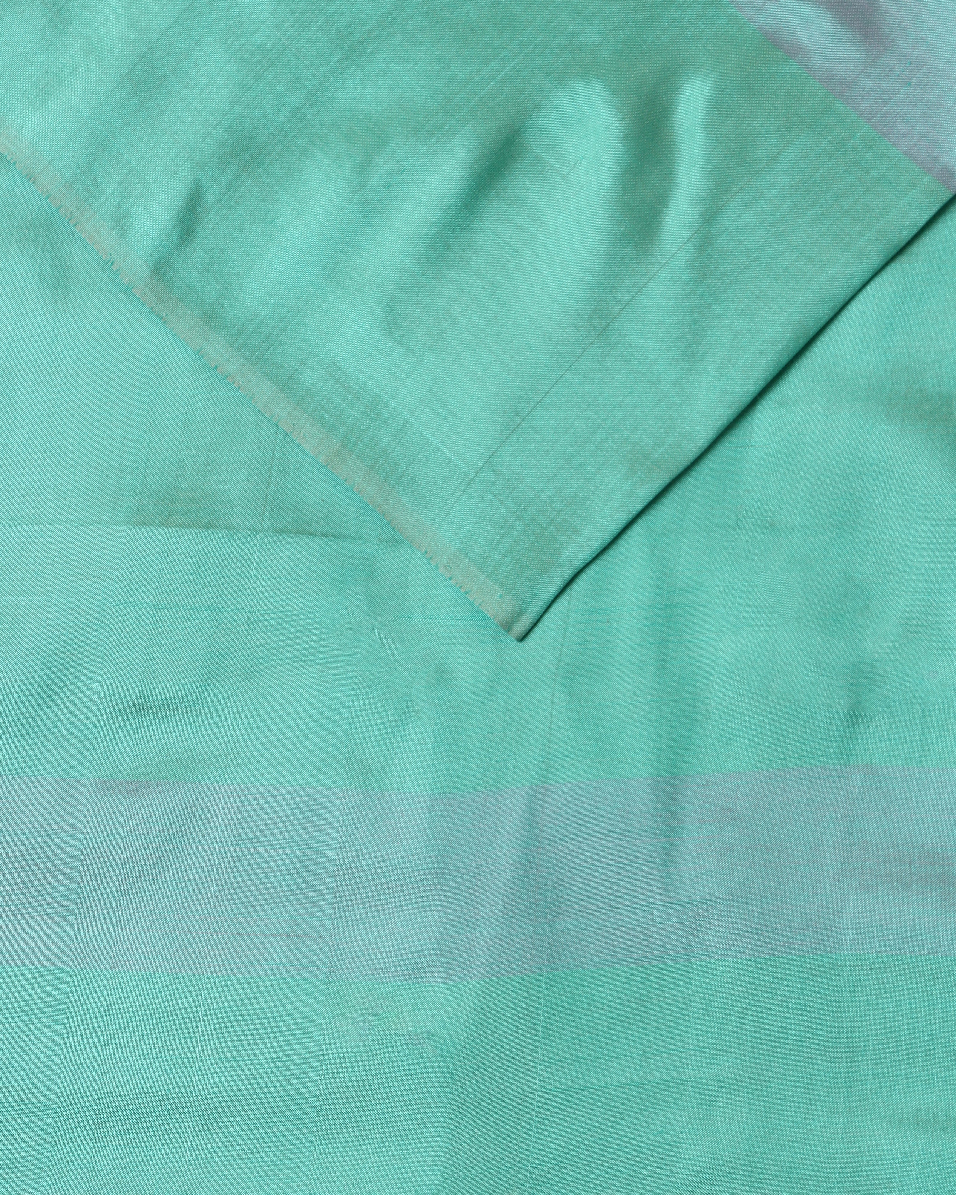 Trisja Pochampally Weft Ikat Cotton Silk Saree