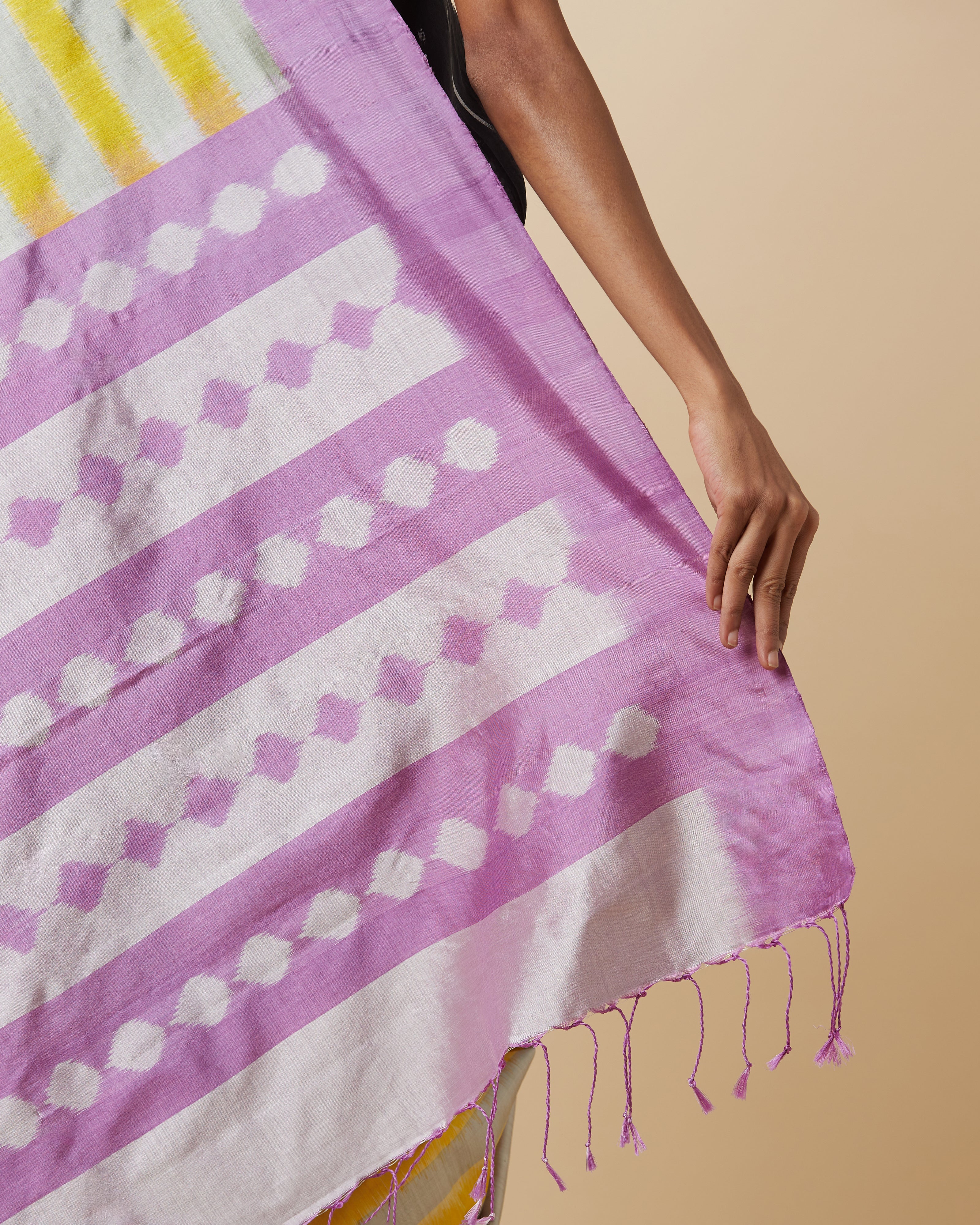 Dhriti Pochampally Weft Ikat Silk Saree