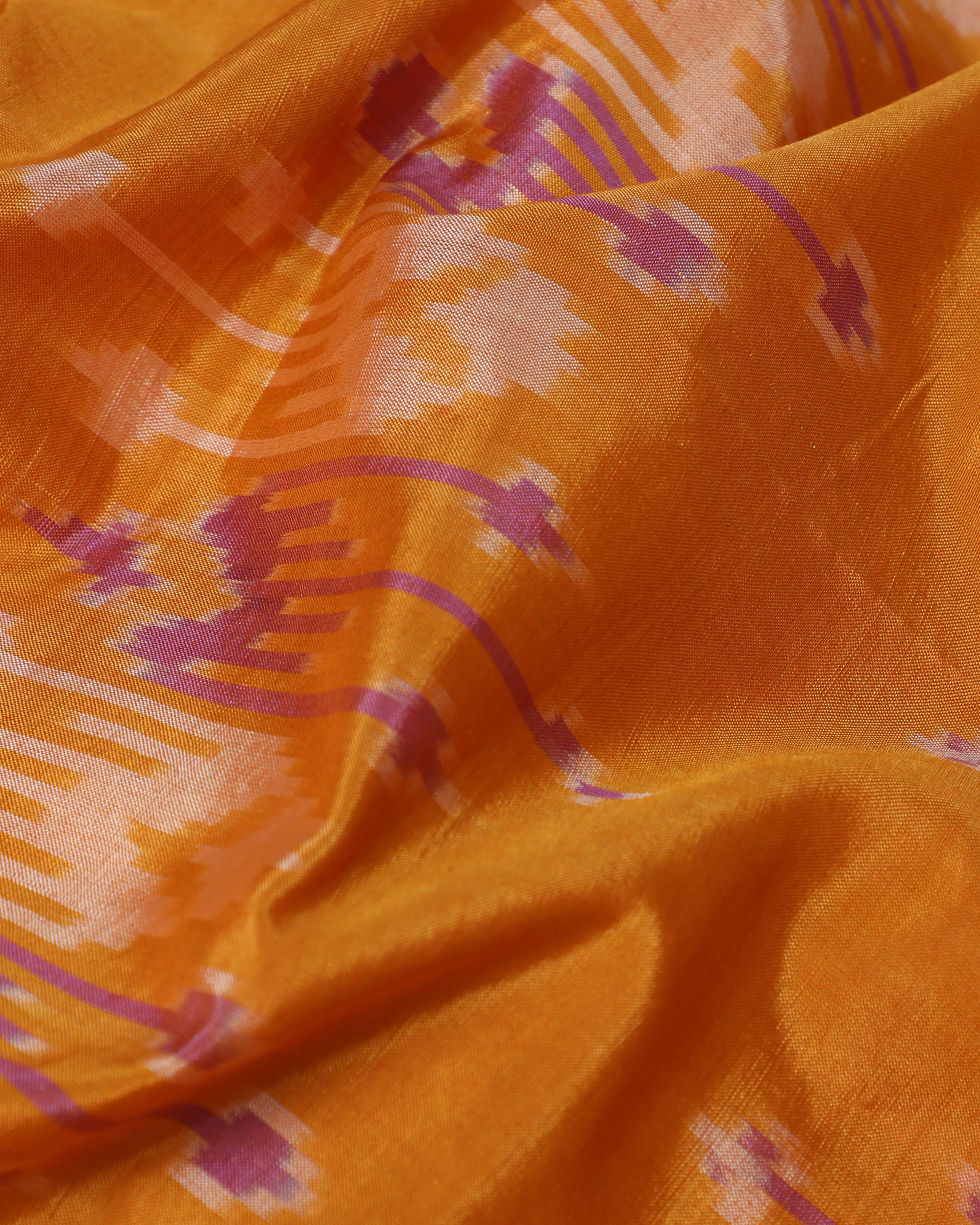 Naisha Pochampally Warp Ikat Silk Cotton Saree