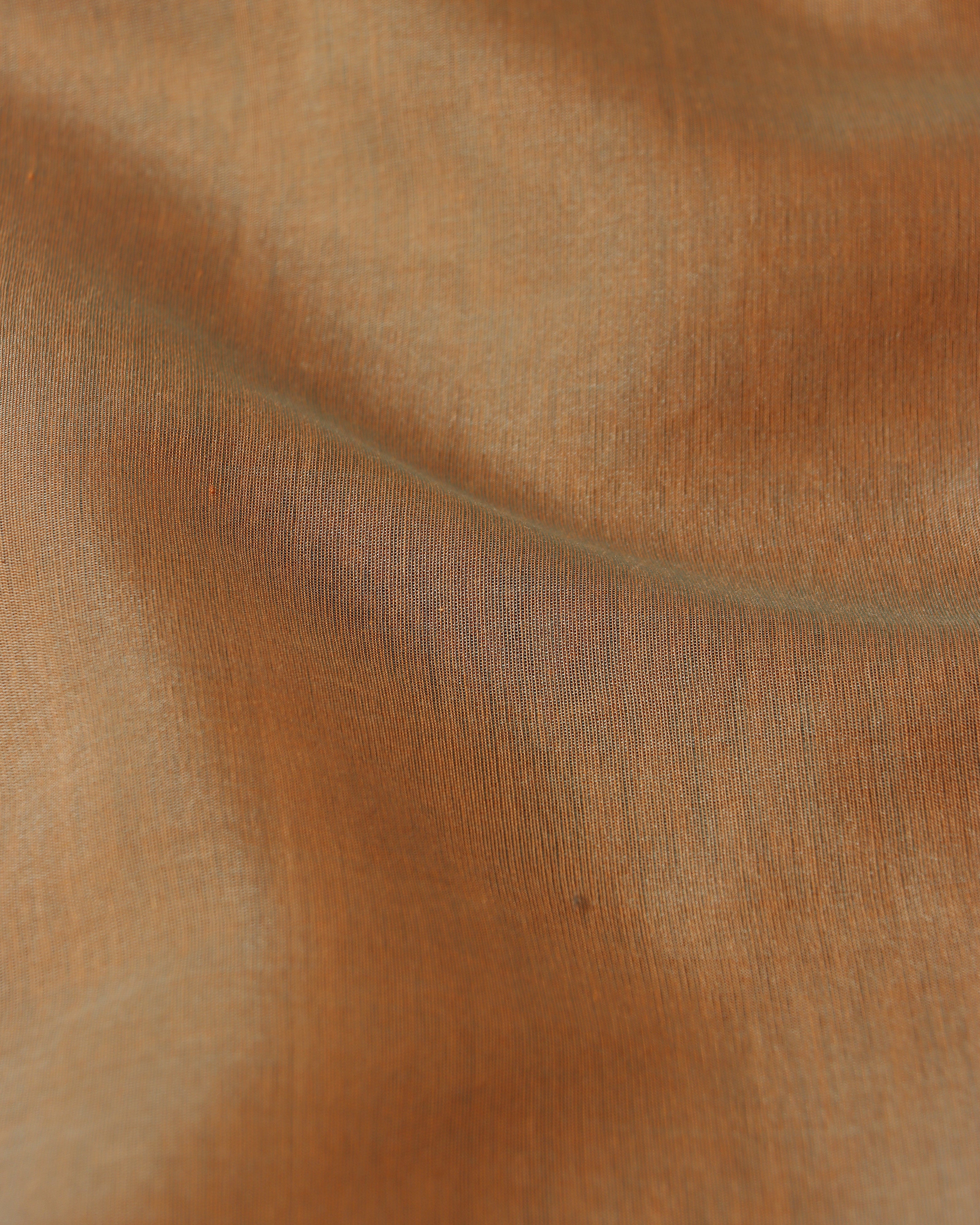 Alaka Banarasi Kadwa Silk Cotton Saree