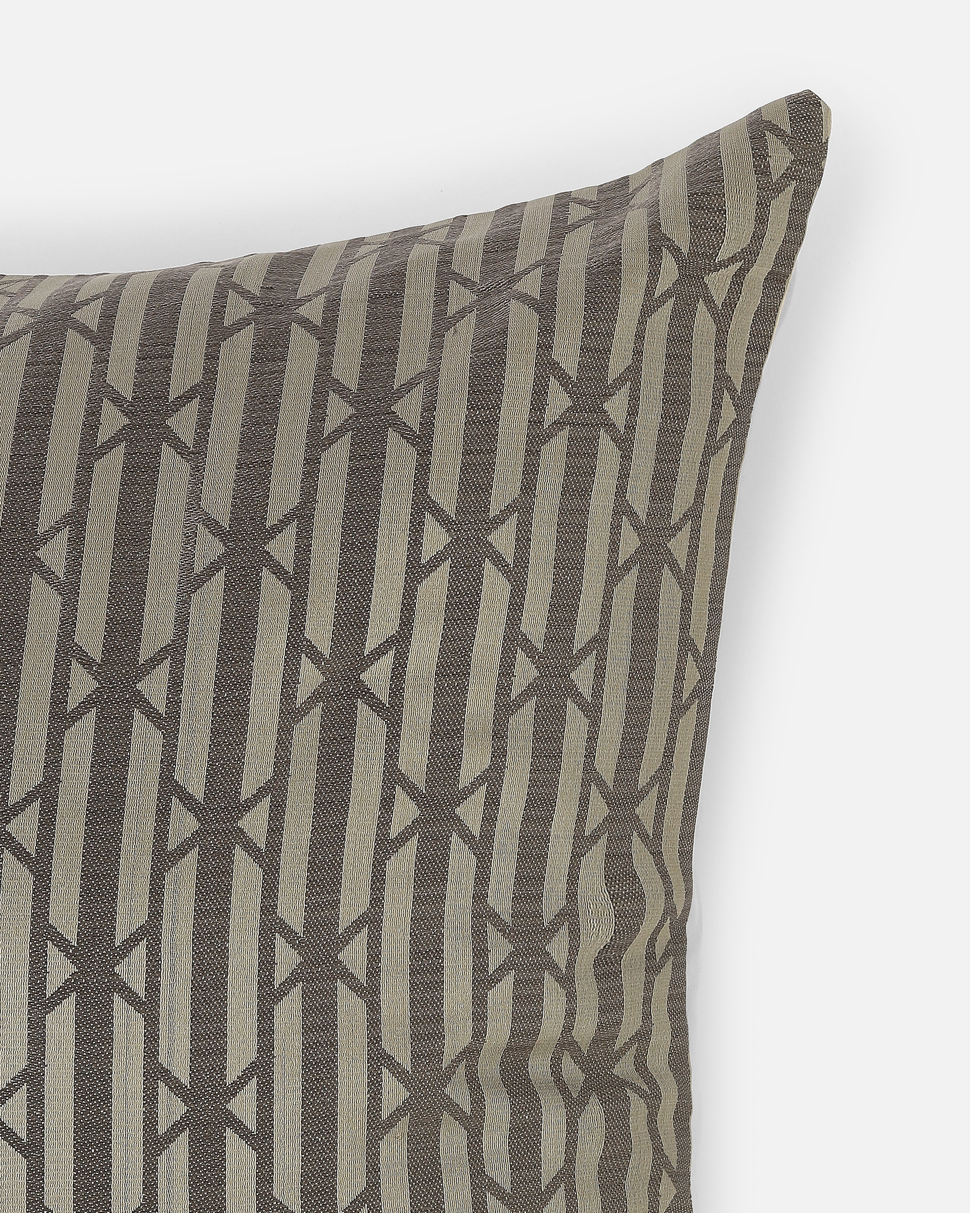 Bamboo Banarasi Tanchoi Silk Cushion Cover