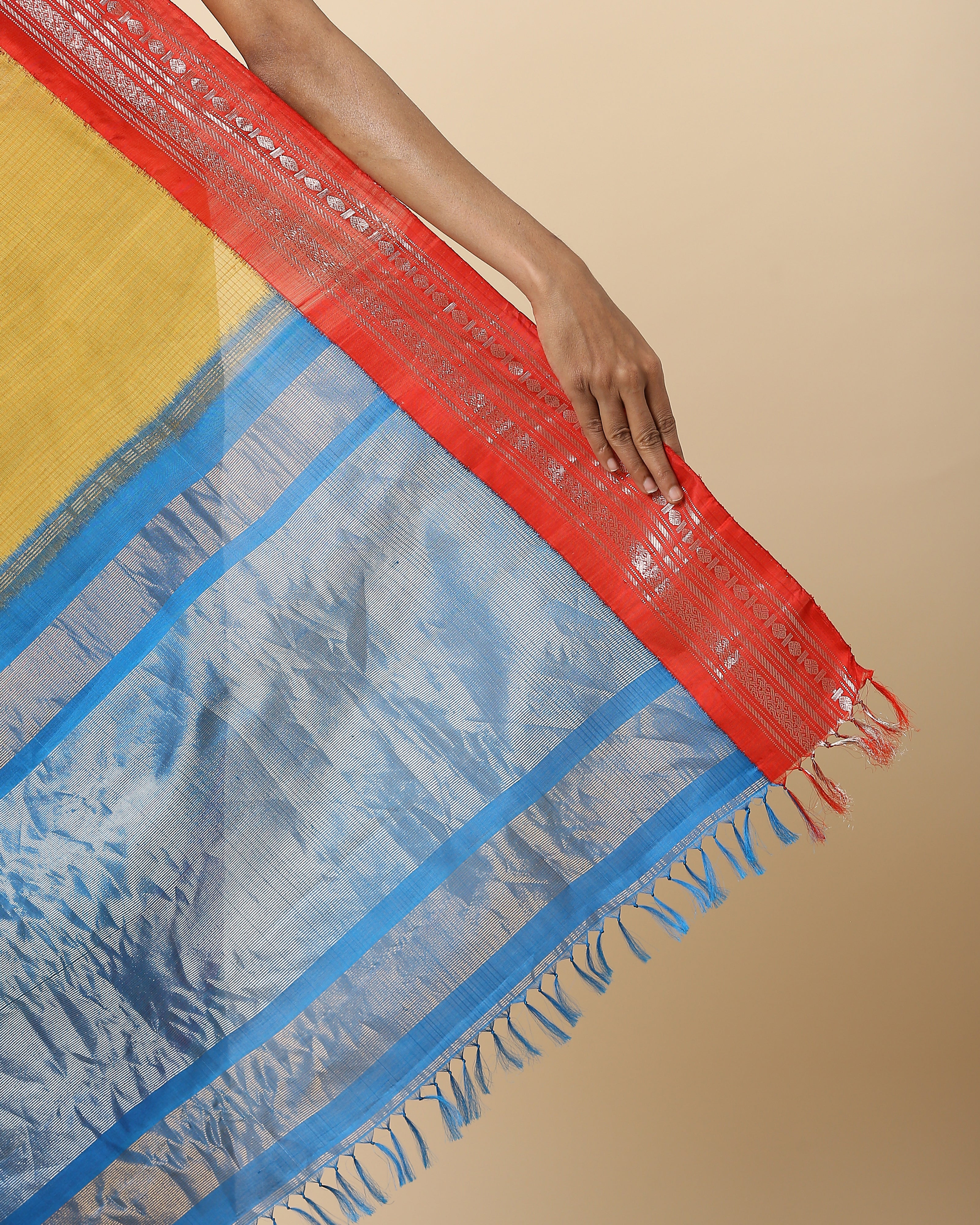 Vidula Gadwal Kuttu Weave Cotton Saree