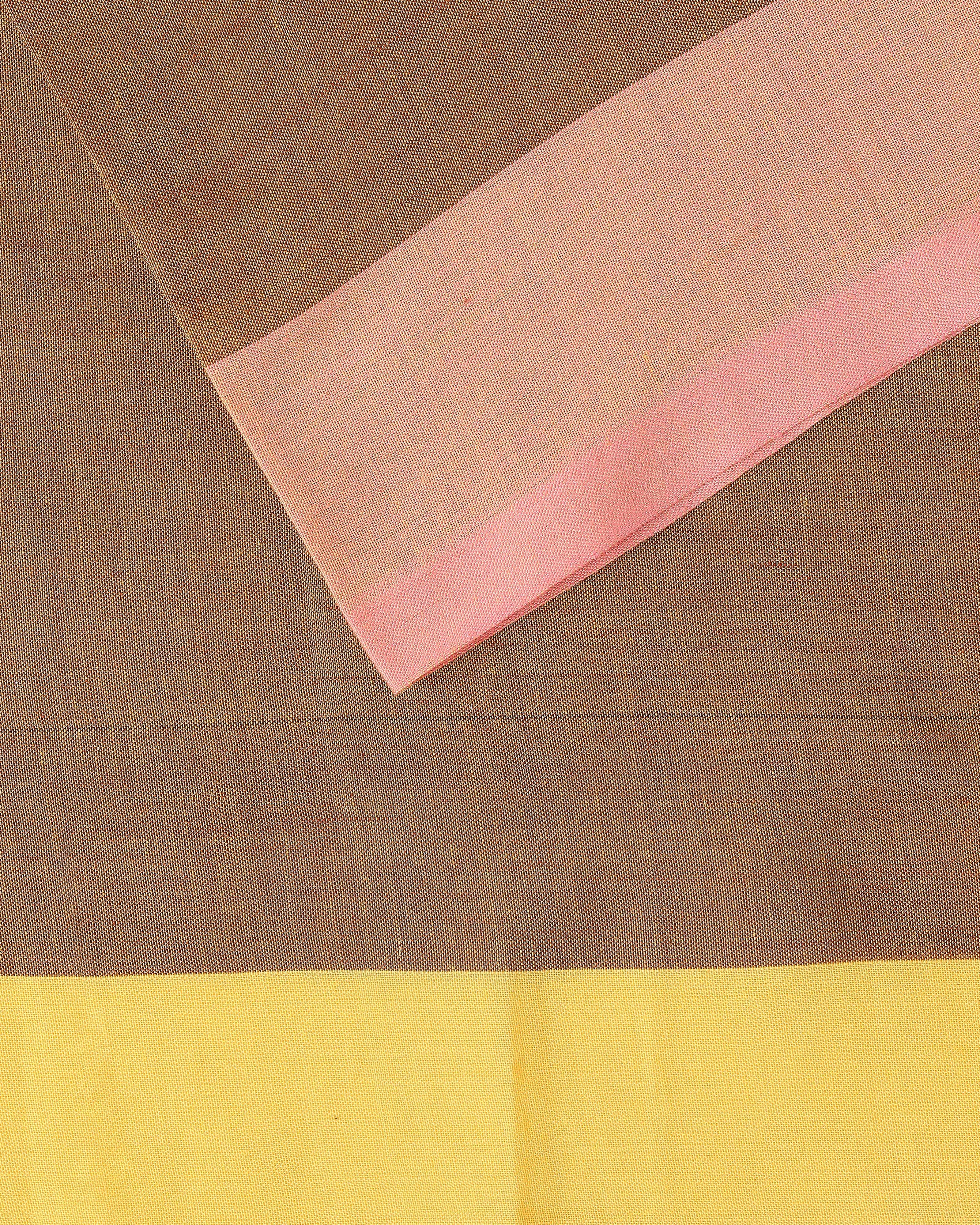 Allami Pochampally Warp Ikat Cotton Saree