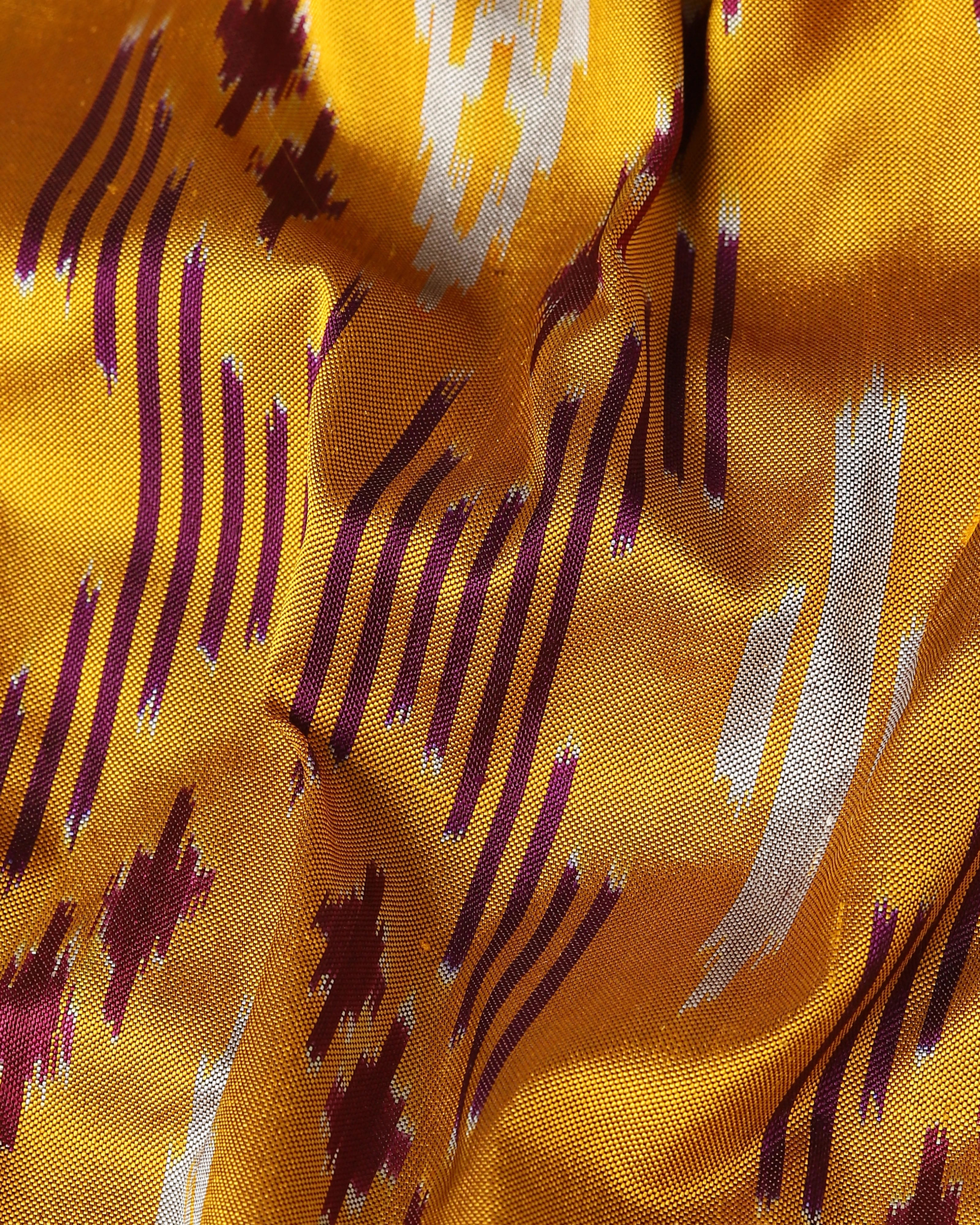Edisa Pochampally Weft Ikat Silk Saree