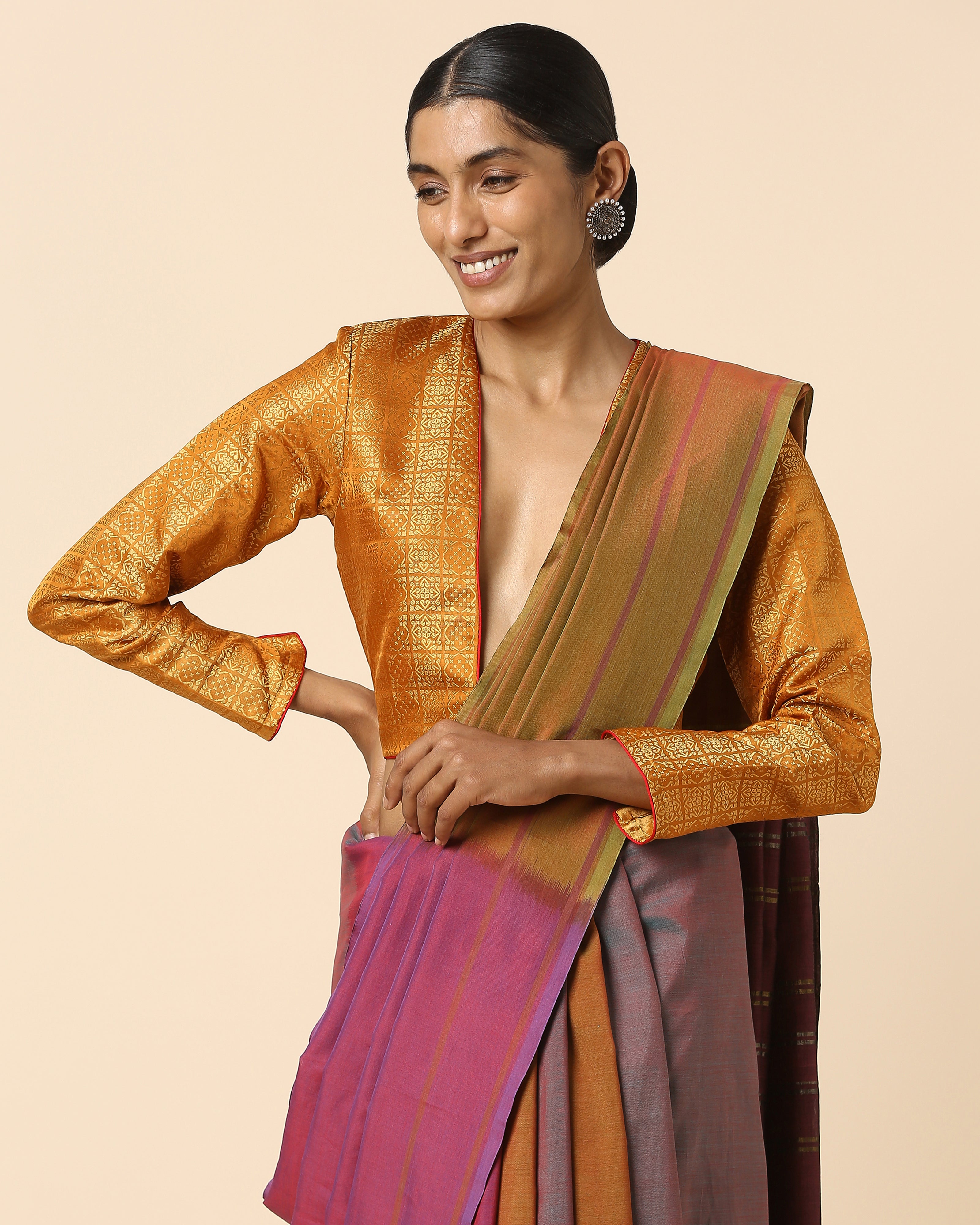 Bihag Pochampally Warp Ikat Cotton Saree