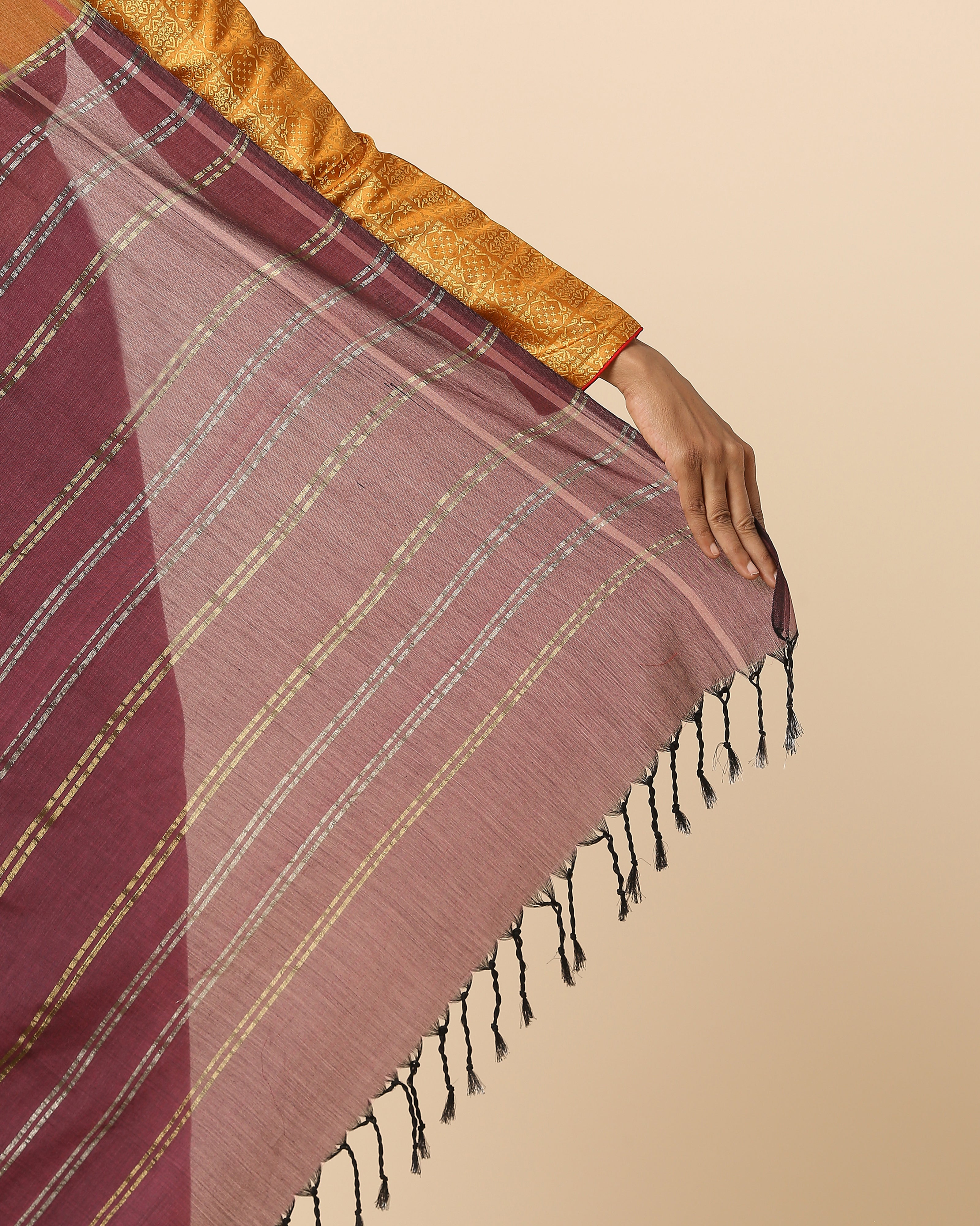 Bihag Pochampally Warp Ikat Cotton Saree