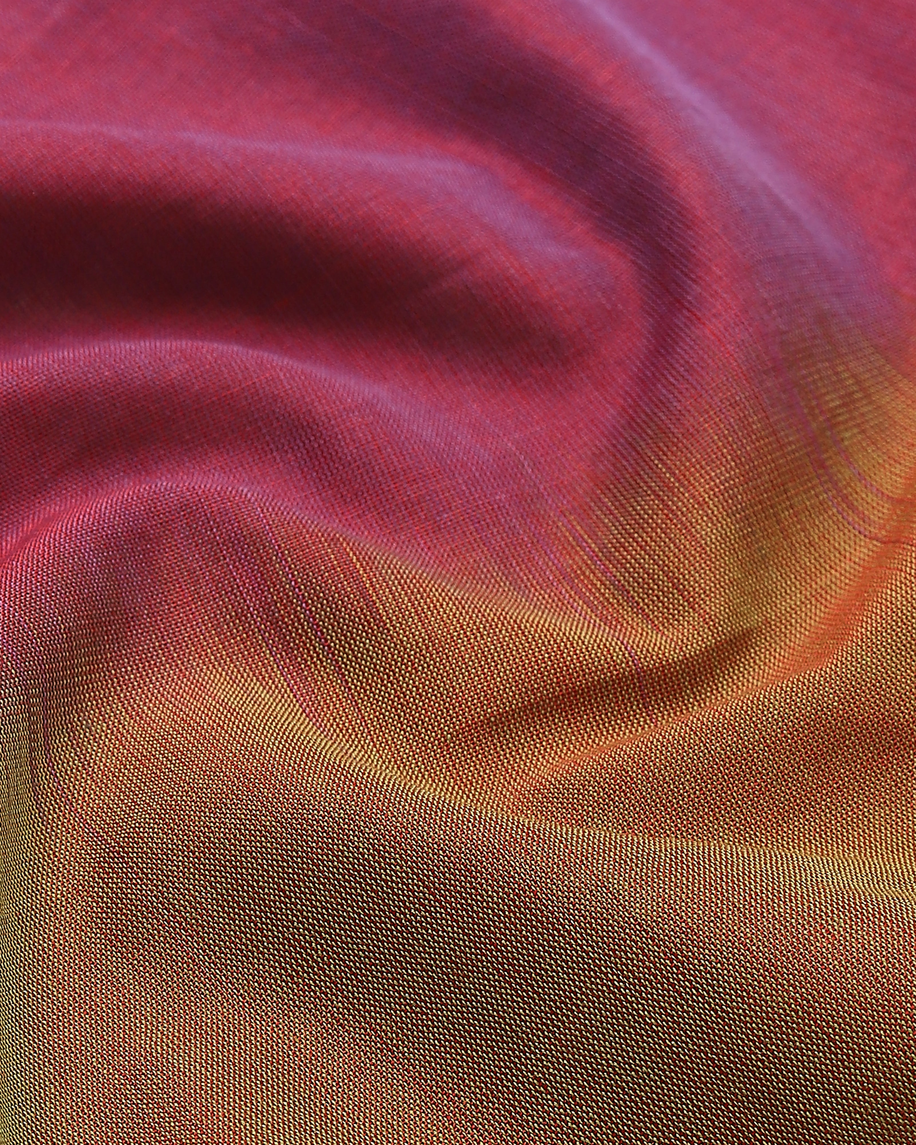 Bihag Pochampally Warp Ikat Cotton Saree