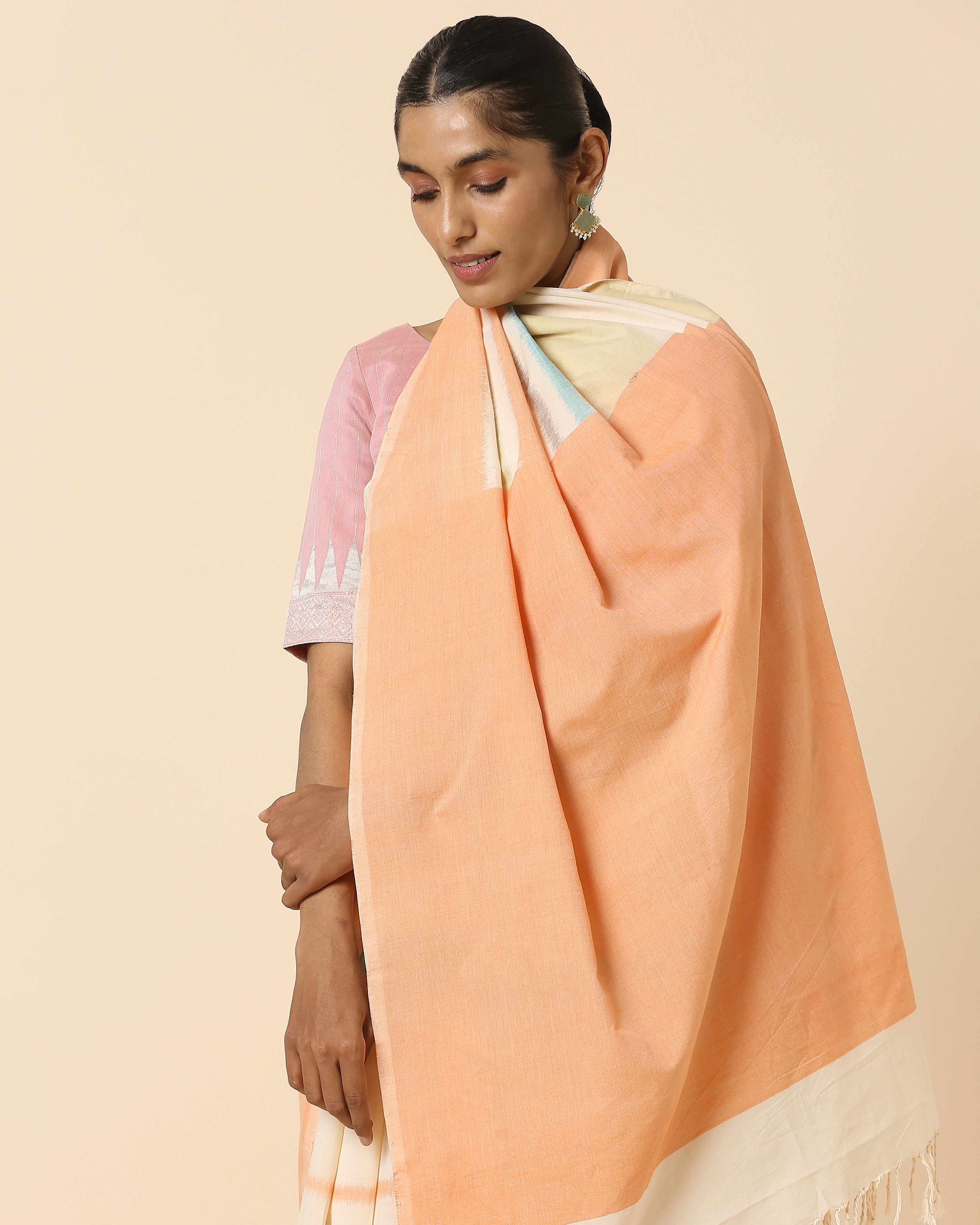 Bageshri Pochampally Weft Ikat Cotton Saree