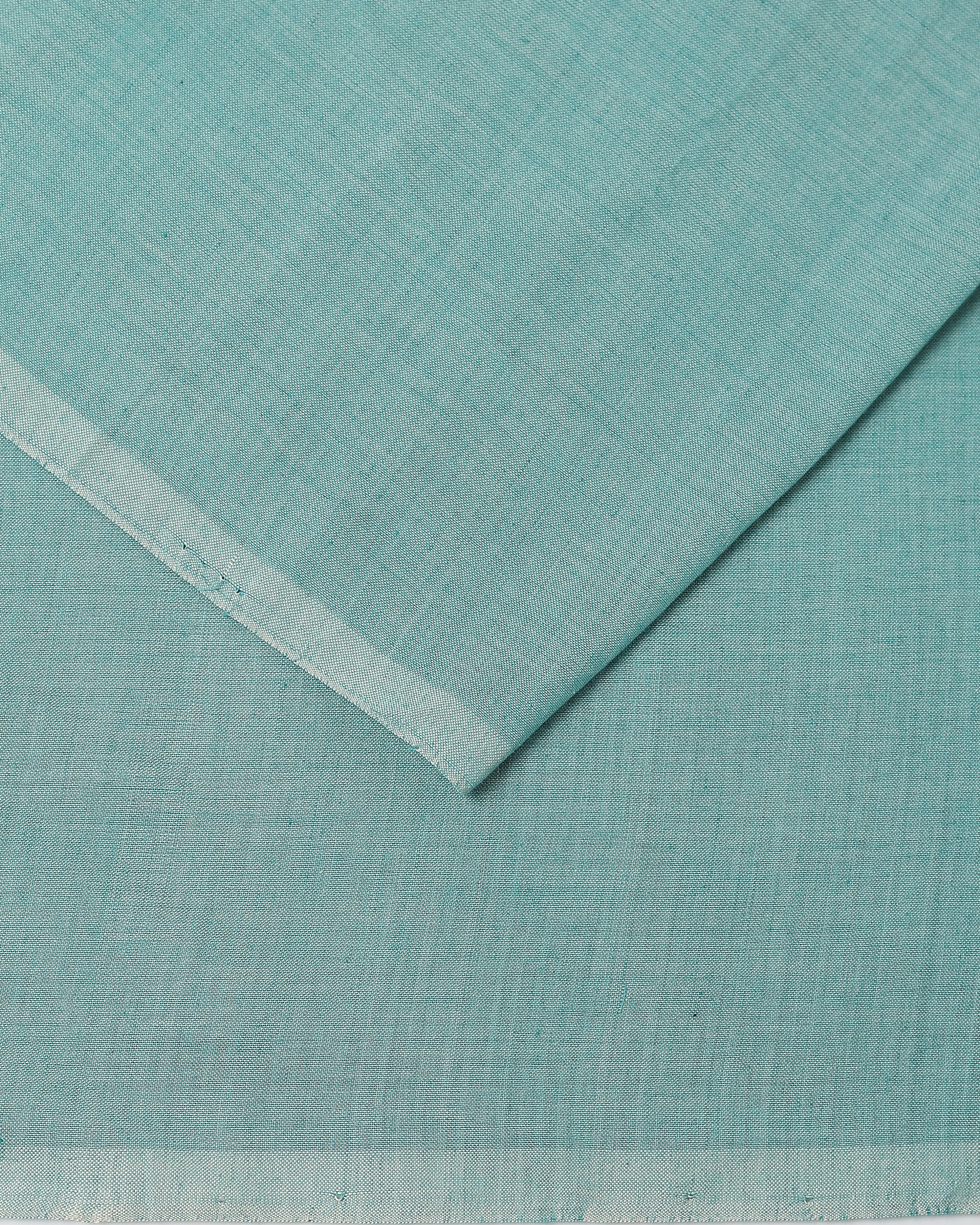 Bageshri Pochampally Weft Ikat Cotton Saree