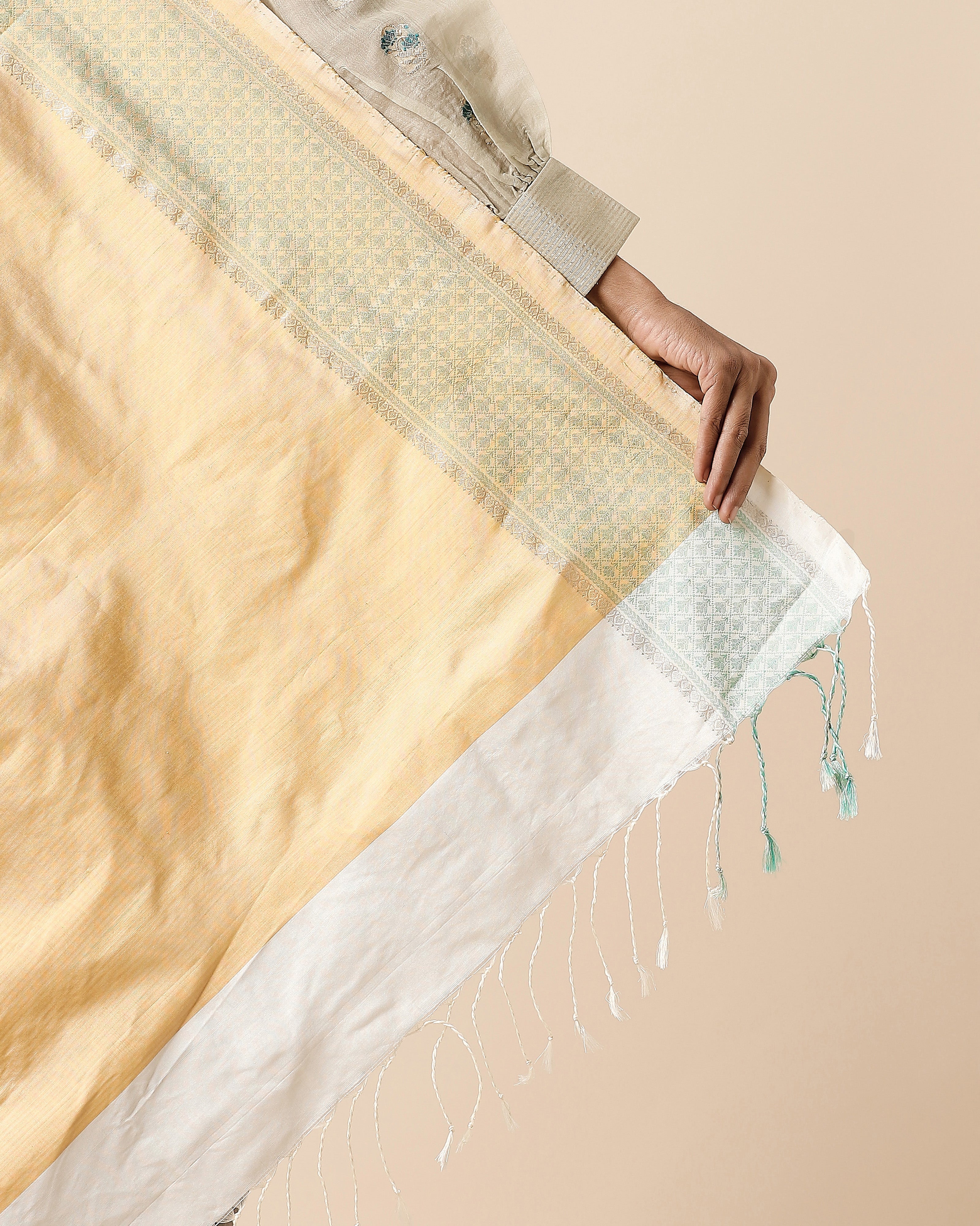 Kafi Pochampally Weft Ikat Silk Saree