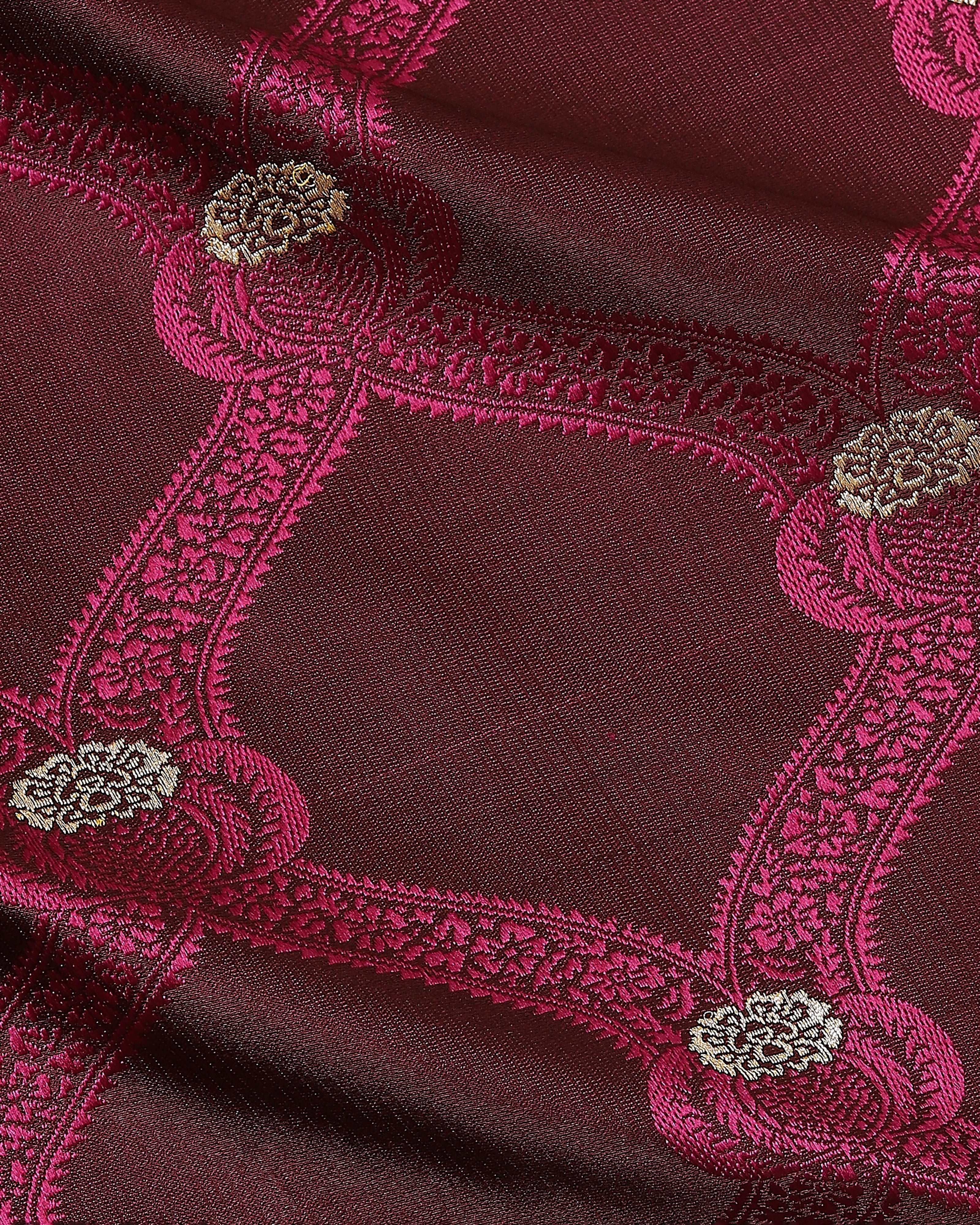 Kanisha Banarasi Tanchoi and Kadwa Silk Saree