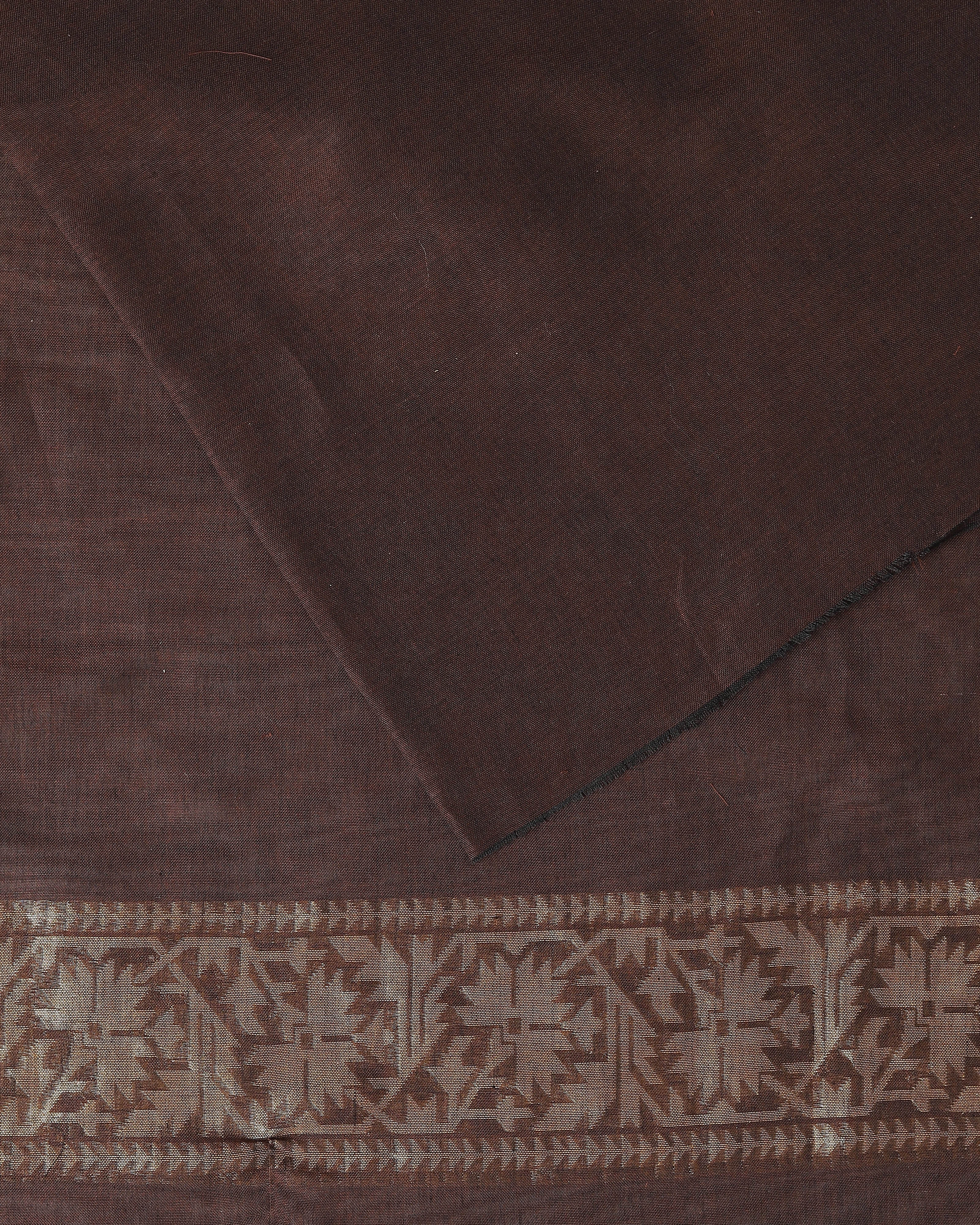 Bina Banarasi Cutwork Cotton Saree