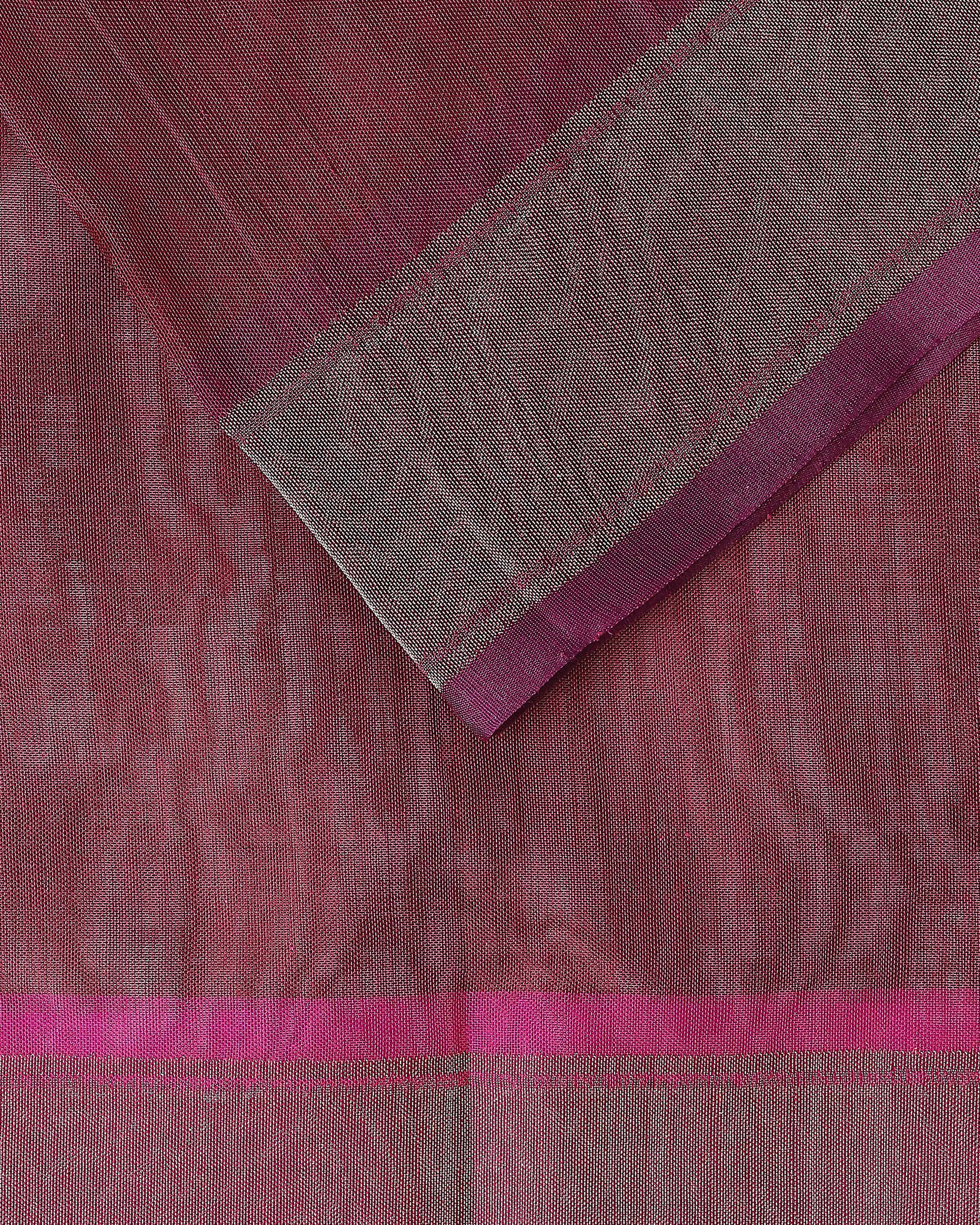 Noor Banarasi Jamdani Silk Cotton Saree