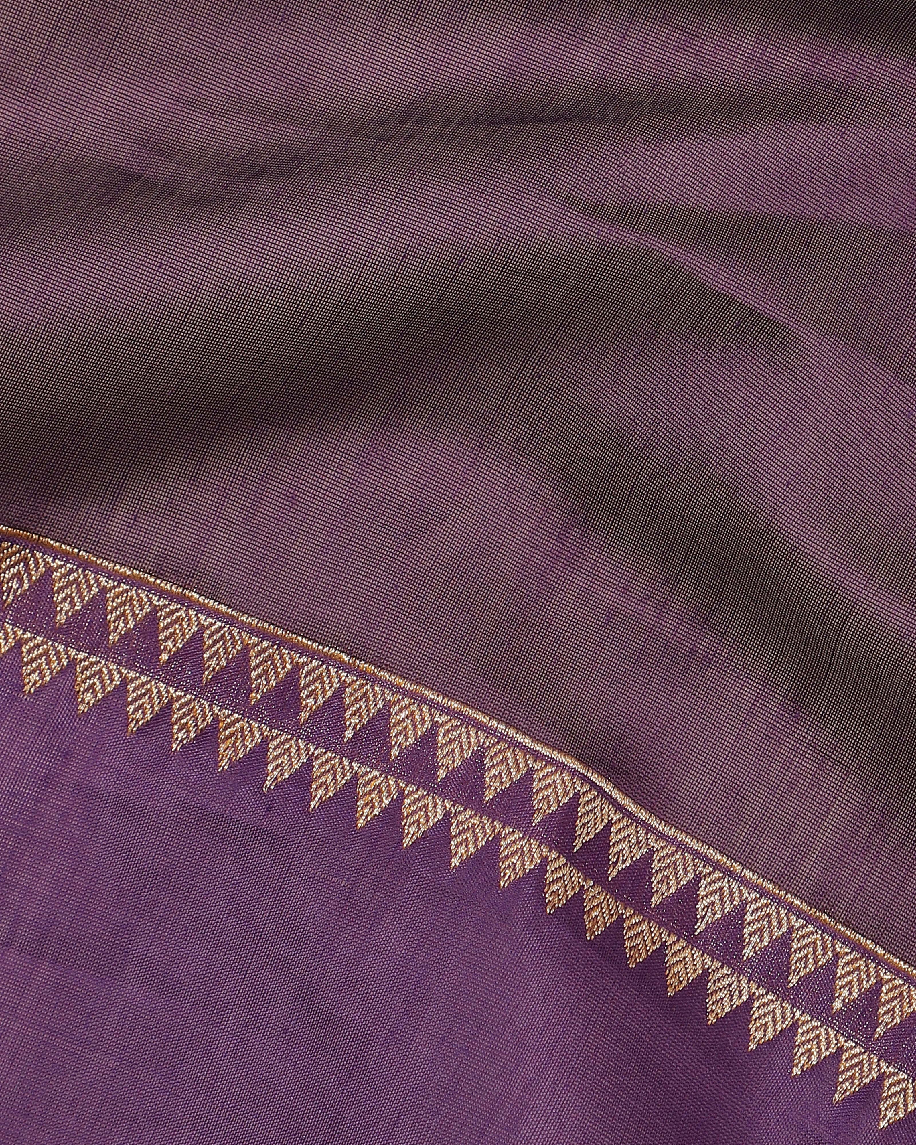 Elise Banarasi Kadwa Silk Cotton Saree