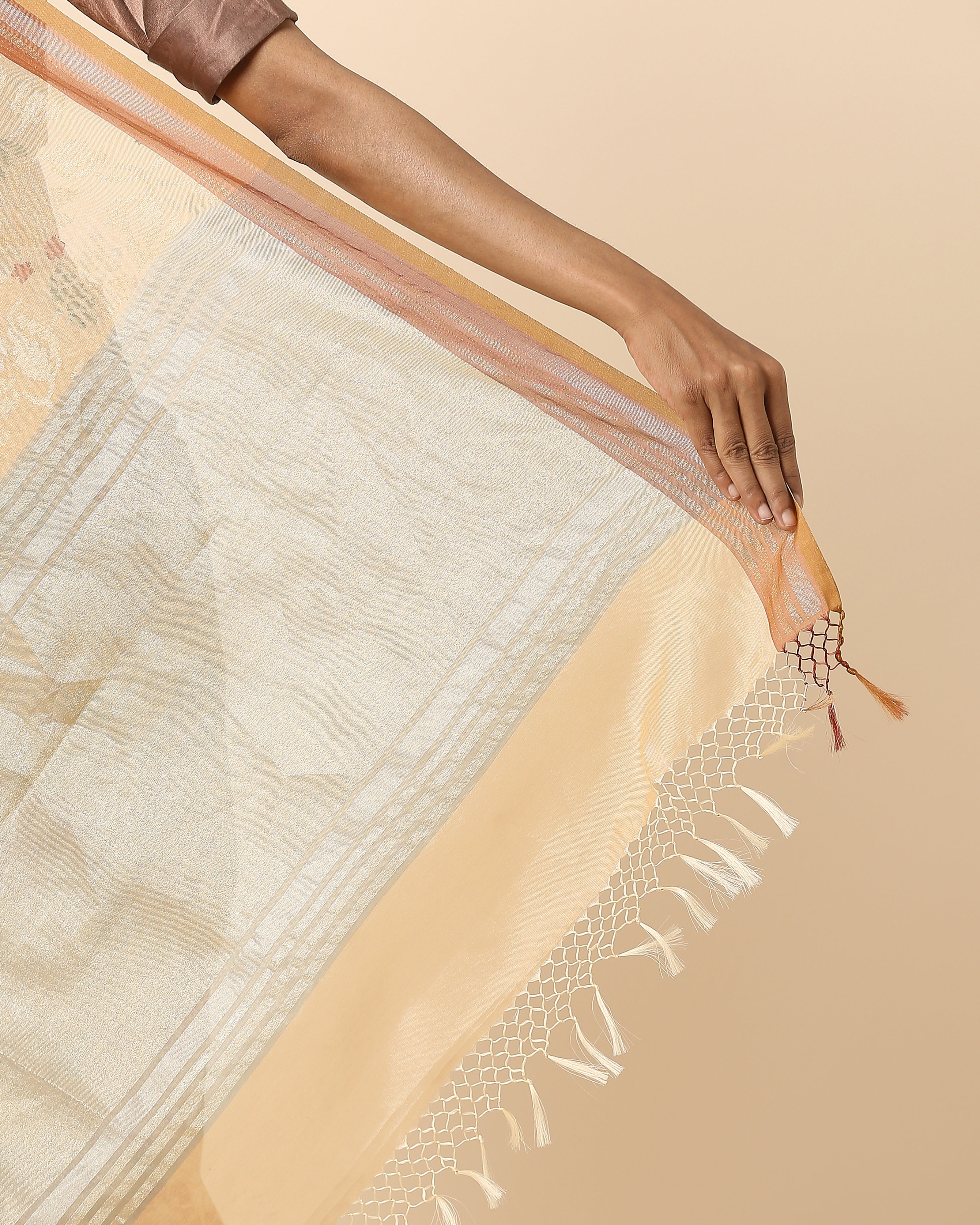 Hester Banarasi Jamdani Silk Cotton Saree