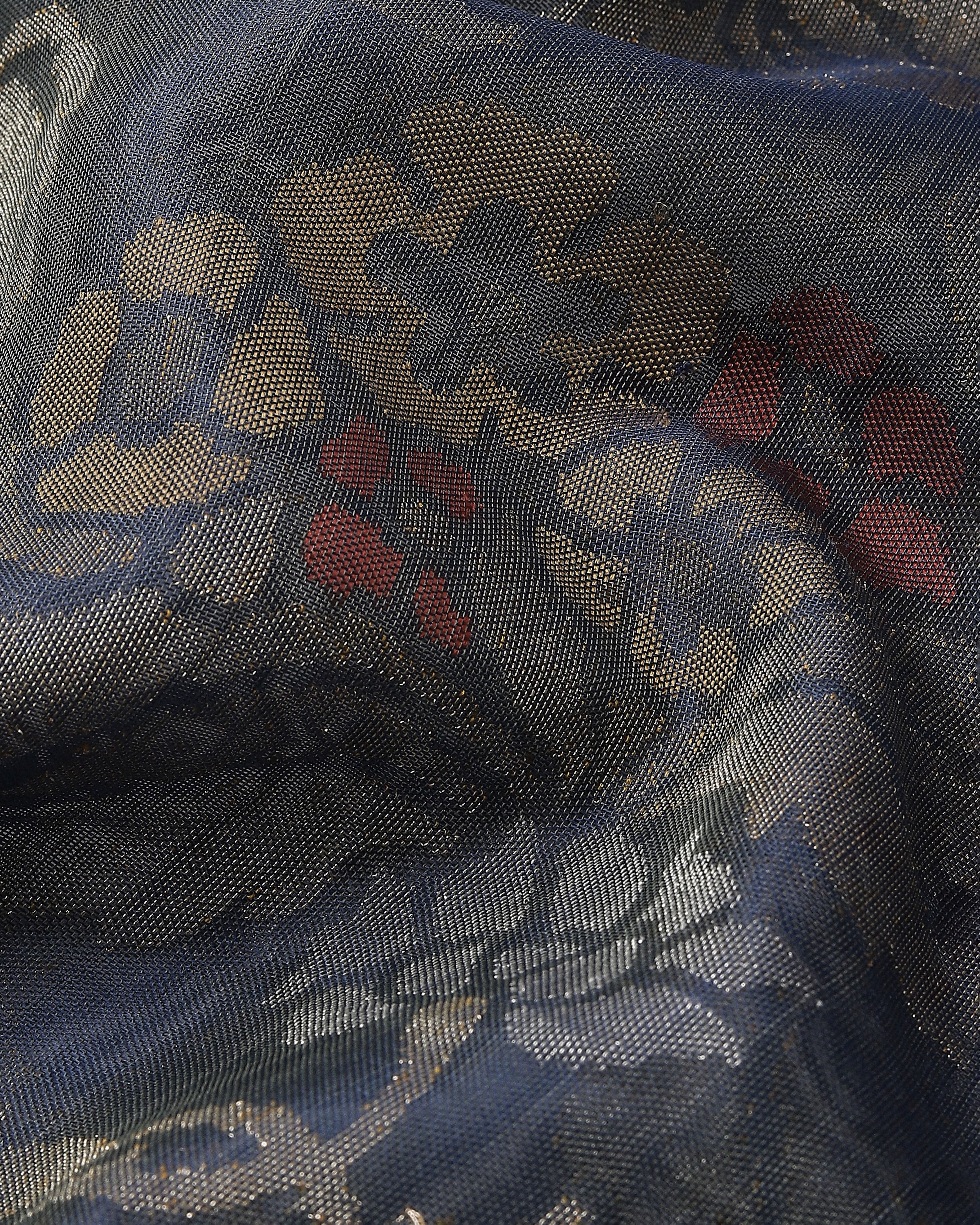 Hester Banarasi Jamdani Silk Cotton Saree