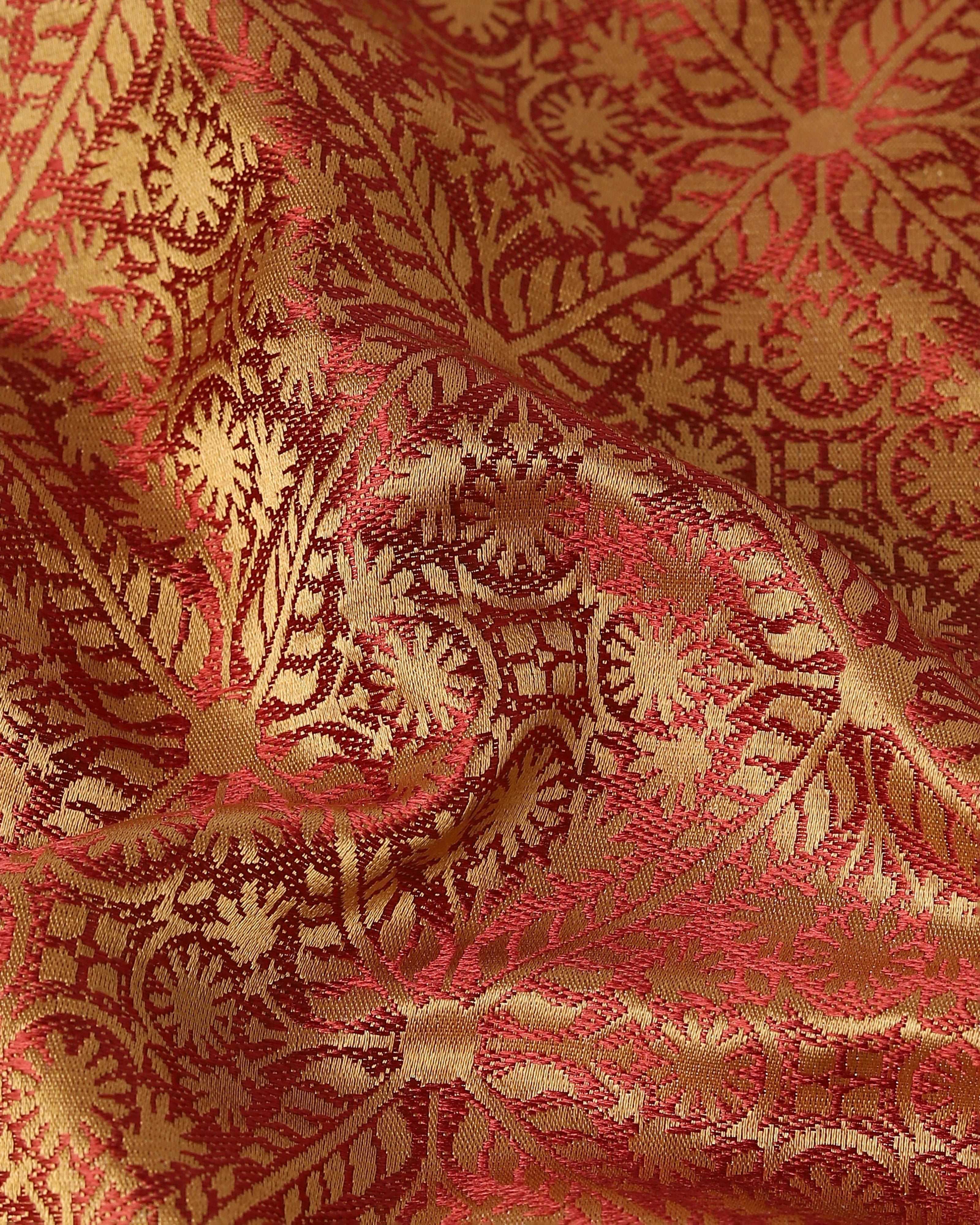 Rijul Banarasi Tanchoi Silk Saree