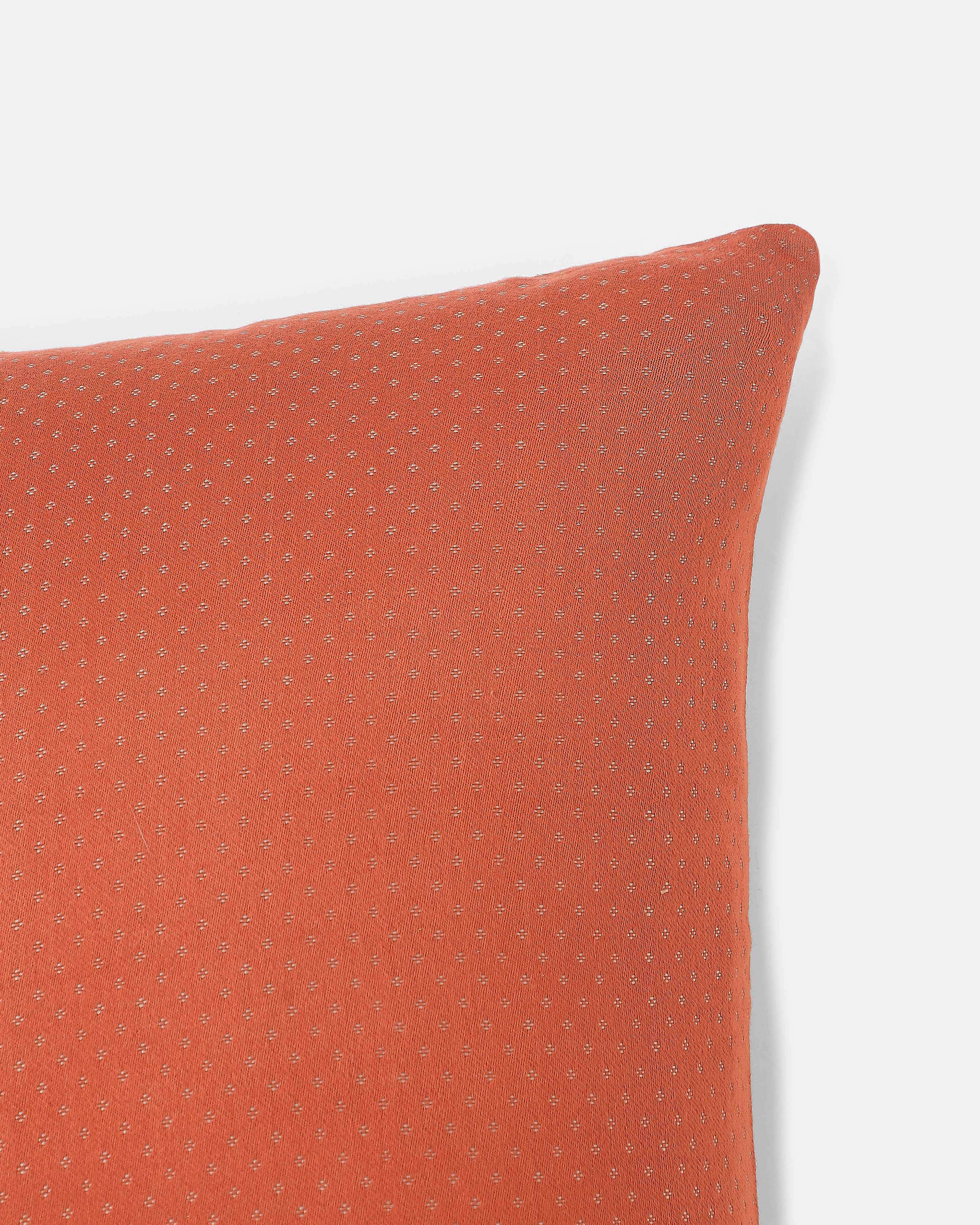 Ajita Bhujodi Mashru Viscose Cotton Cushion Cover