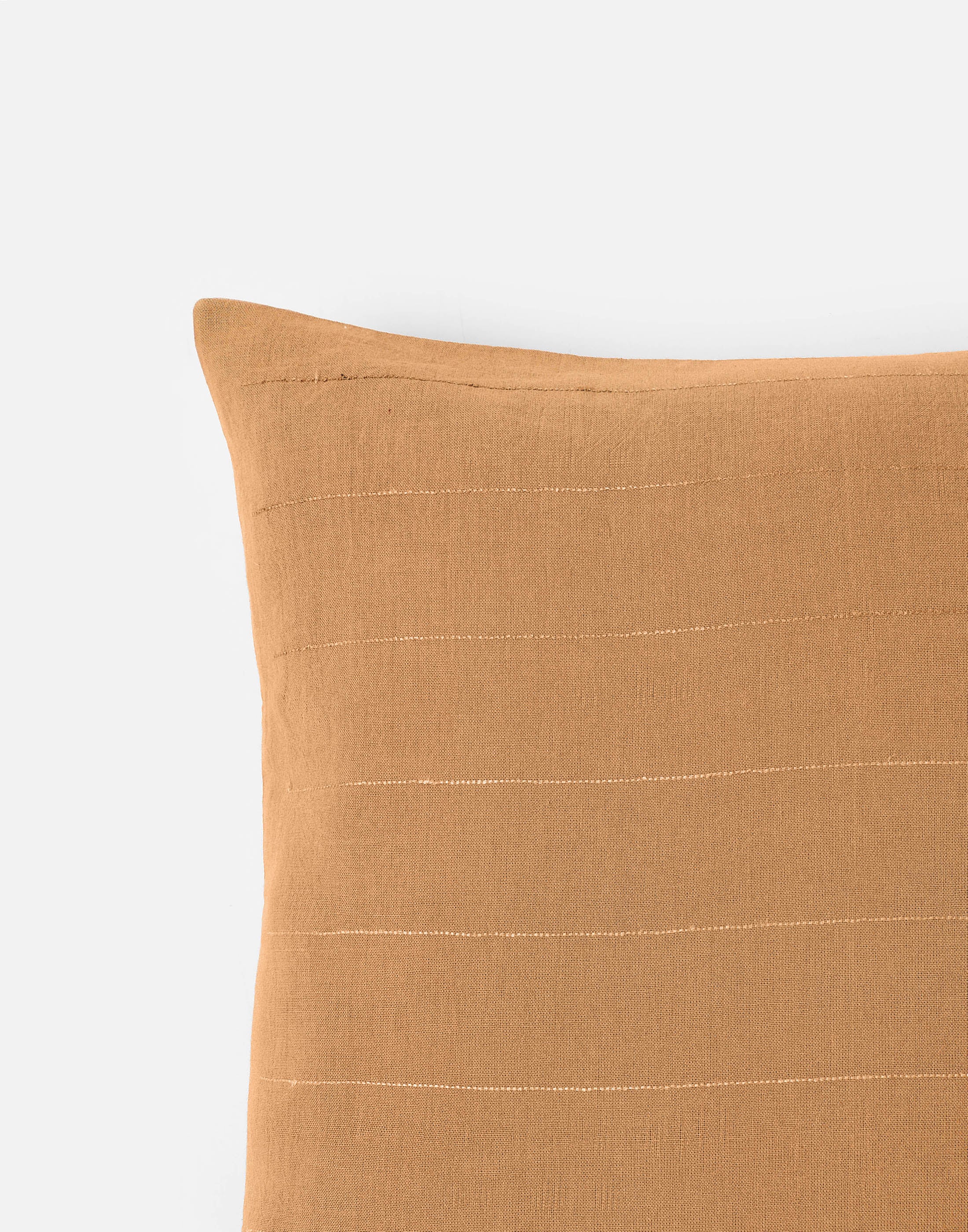 Beenu Bhujodi Extra Weft Cotton Cushion Cover