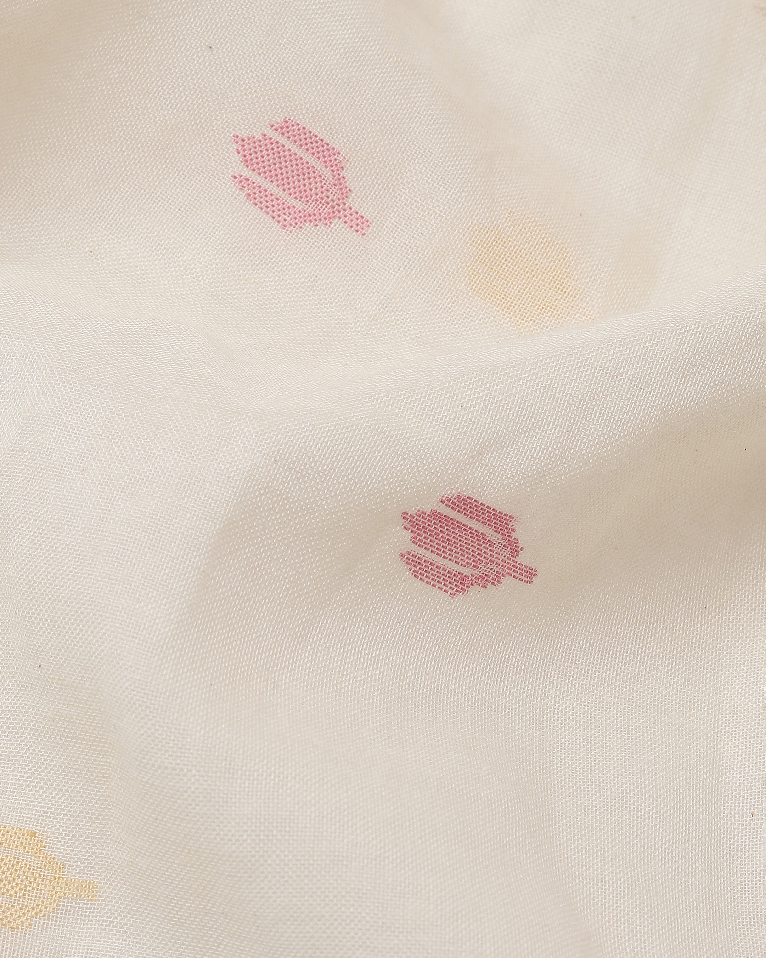 Shreenika Banarasi Kadwa Cotton Saree