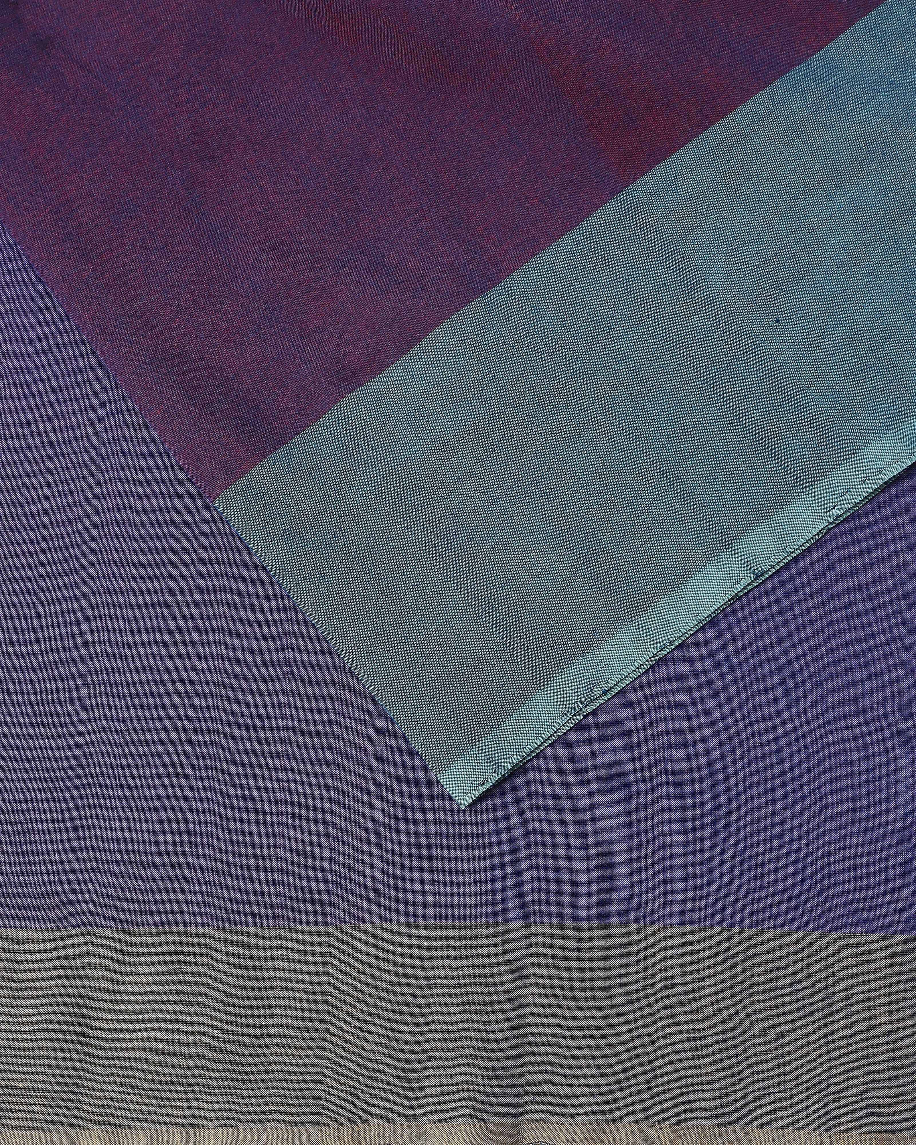 Shazfa Pochampally Weft Ikat Cotton Saree