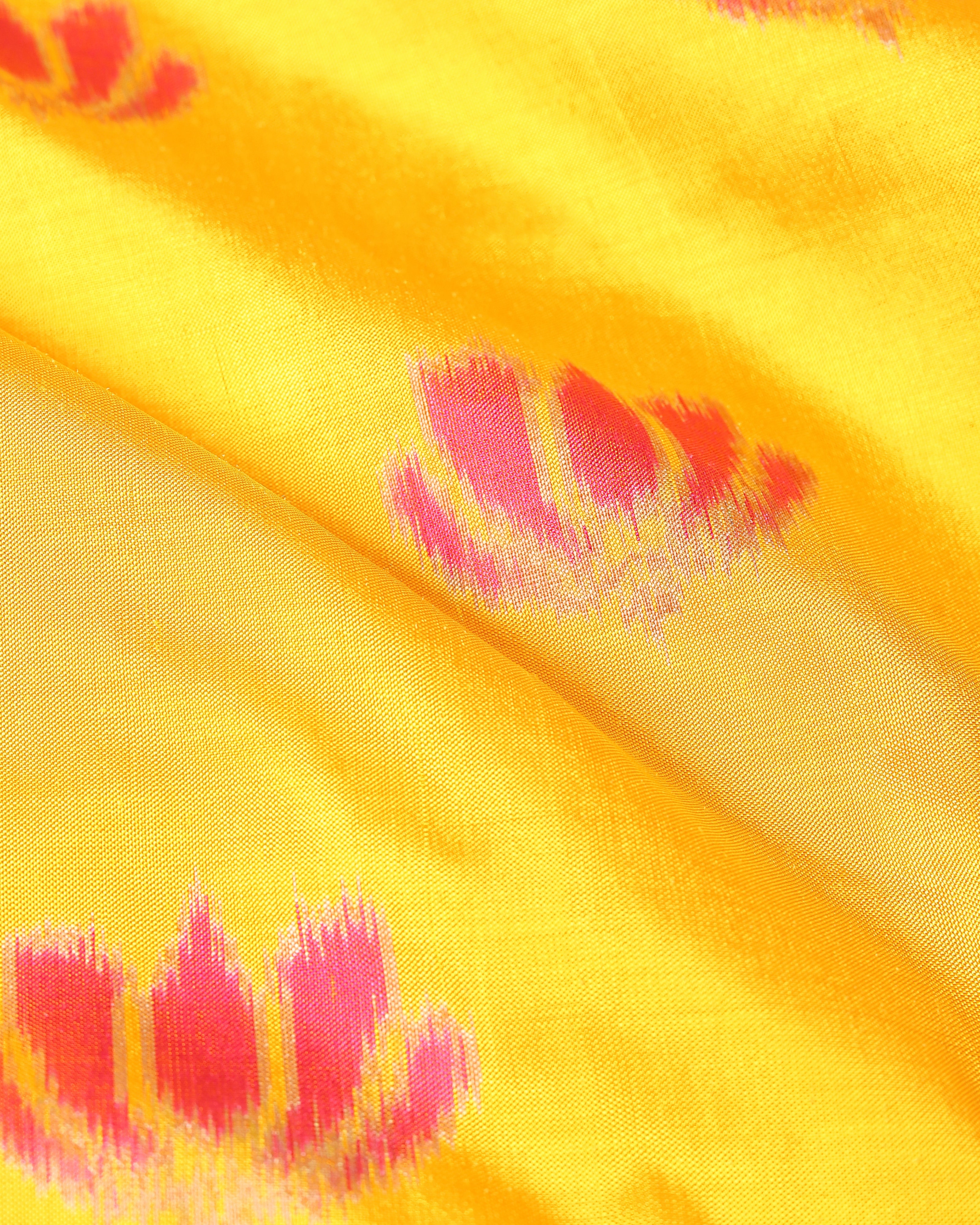 Neeksha Weft Ikat Silk Saree