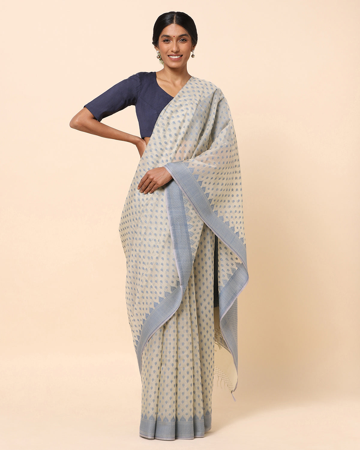 Tara Banarasi Cutwork Silk Cotton Saree