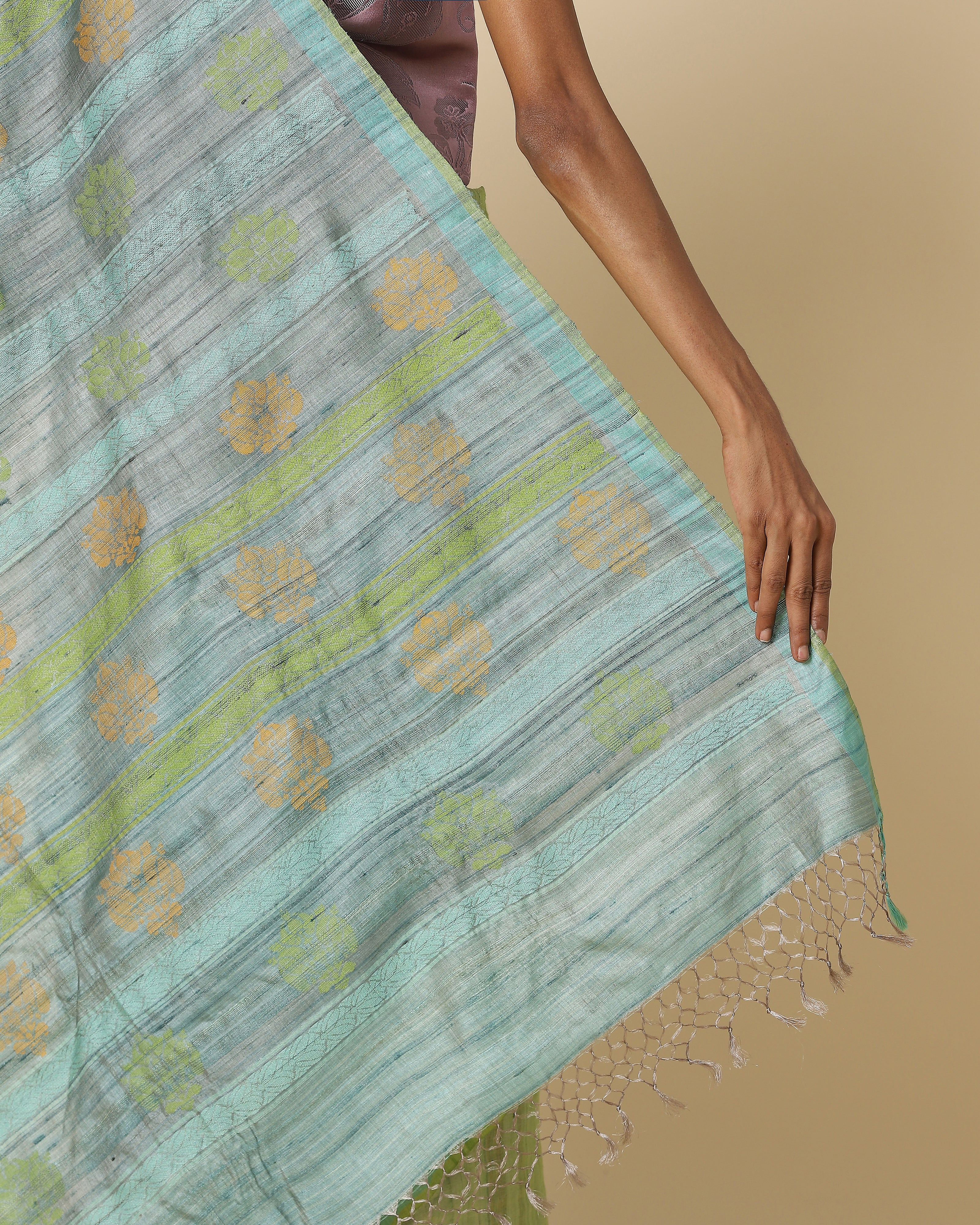 Amrita Jala Silk Saree