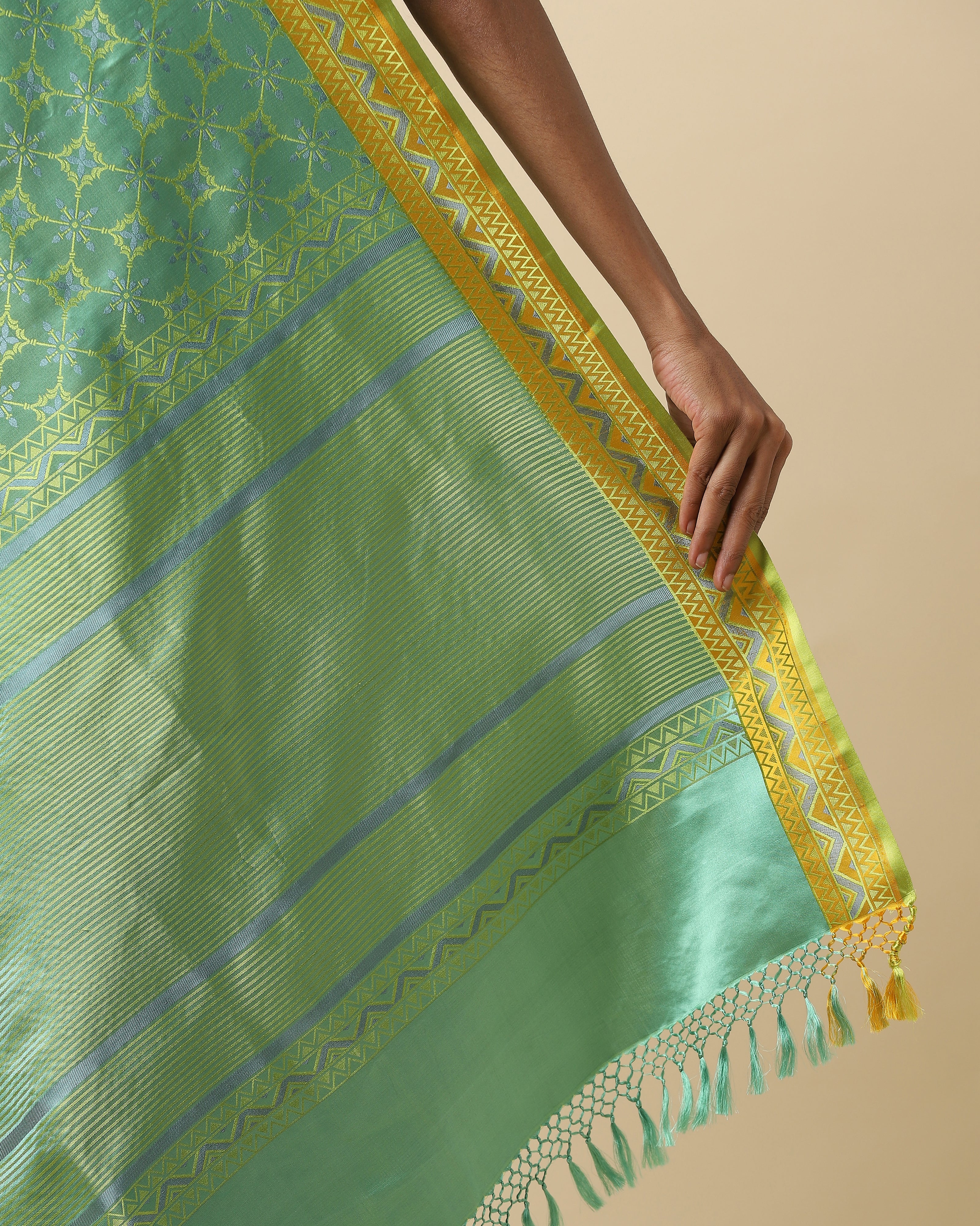 Rahni Tanchoi Silk Saree