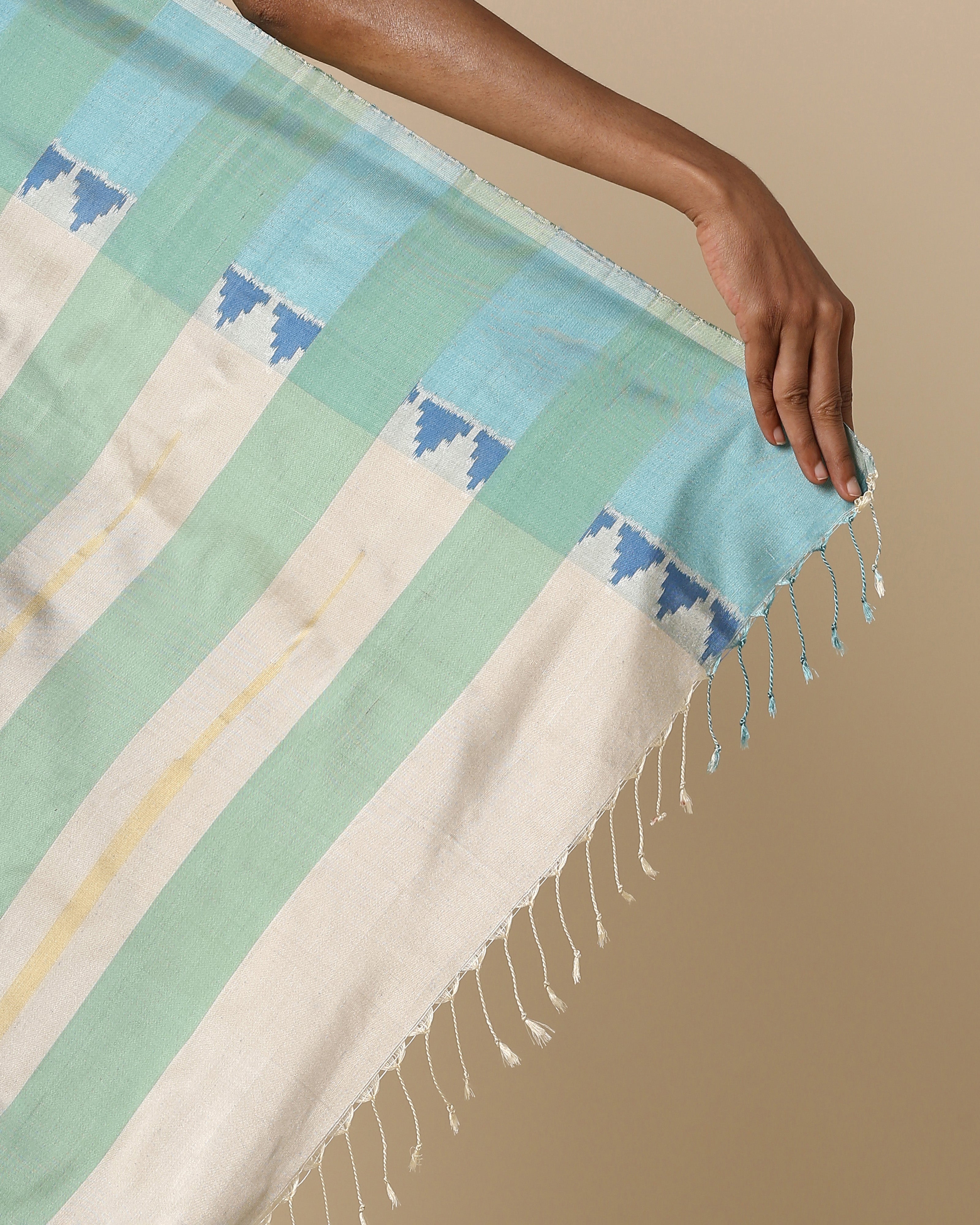Amera Pochampally Double Ikat Silk Saree