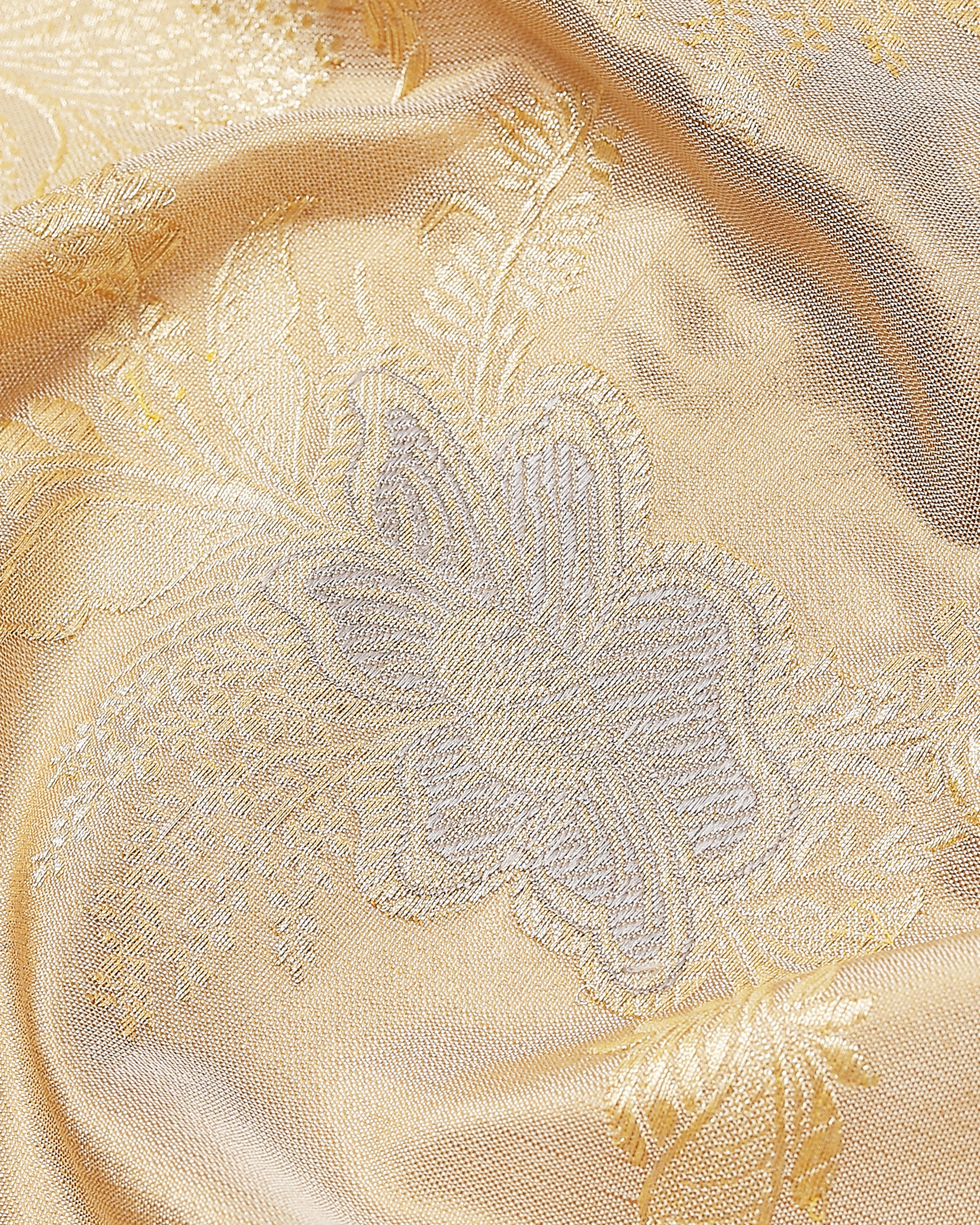 Dhanvi Banarasi Kadwa Silk Saree